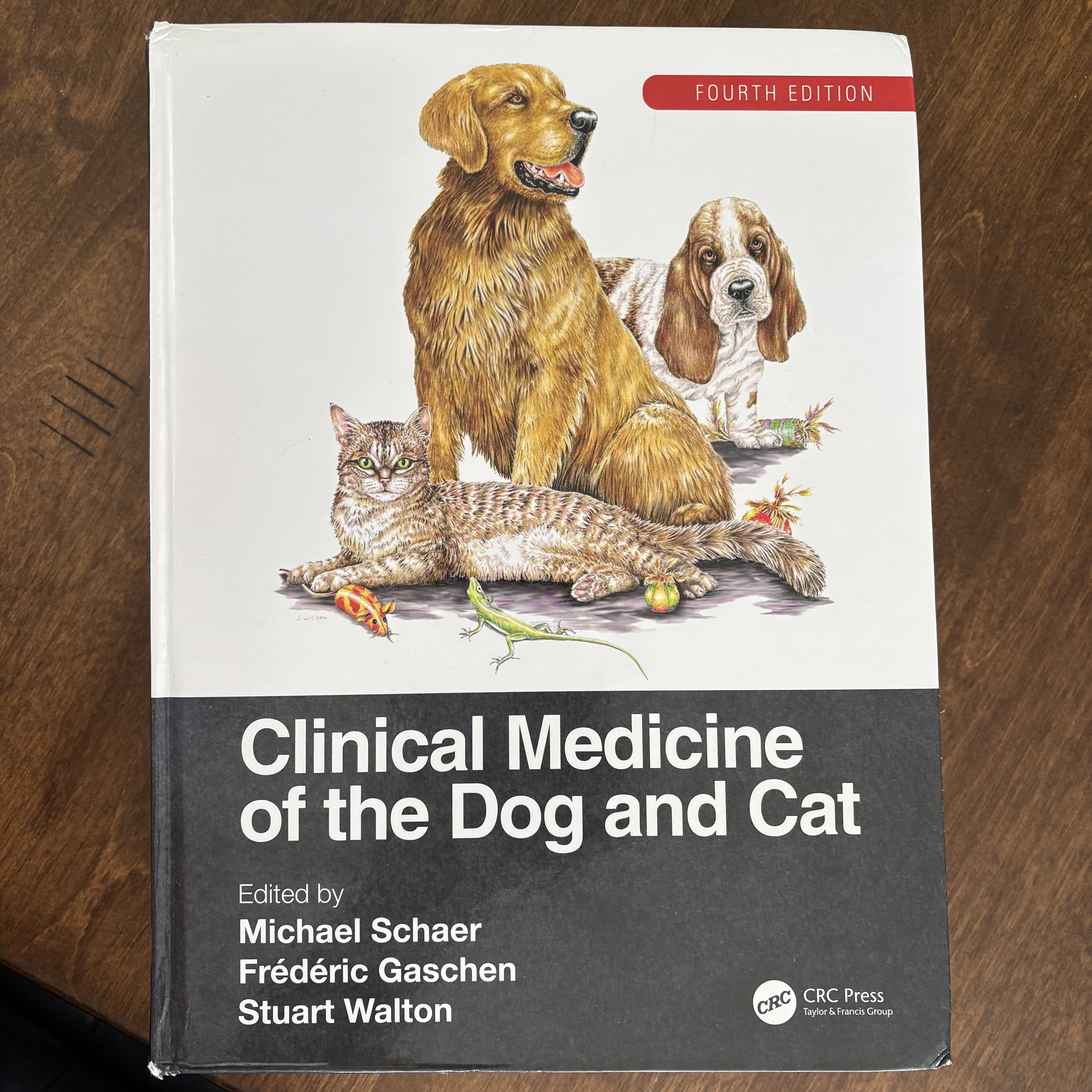 Clinical Medicine of the Dog and Cat: Abdominal Distension