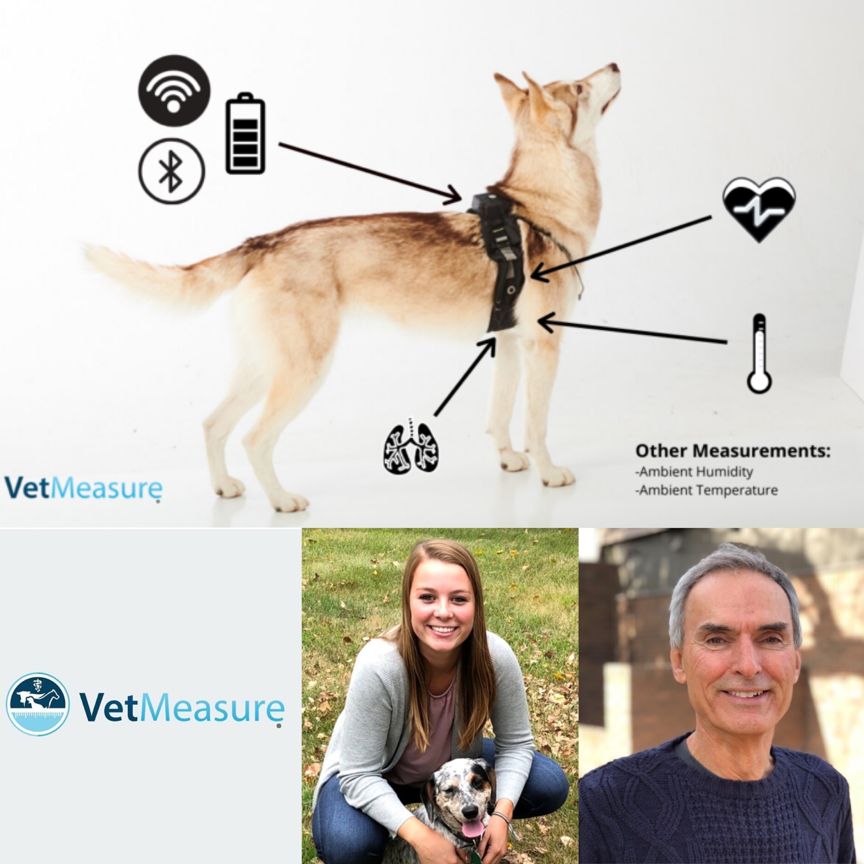 Veterinary Journal Club & Discussions
