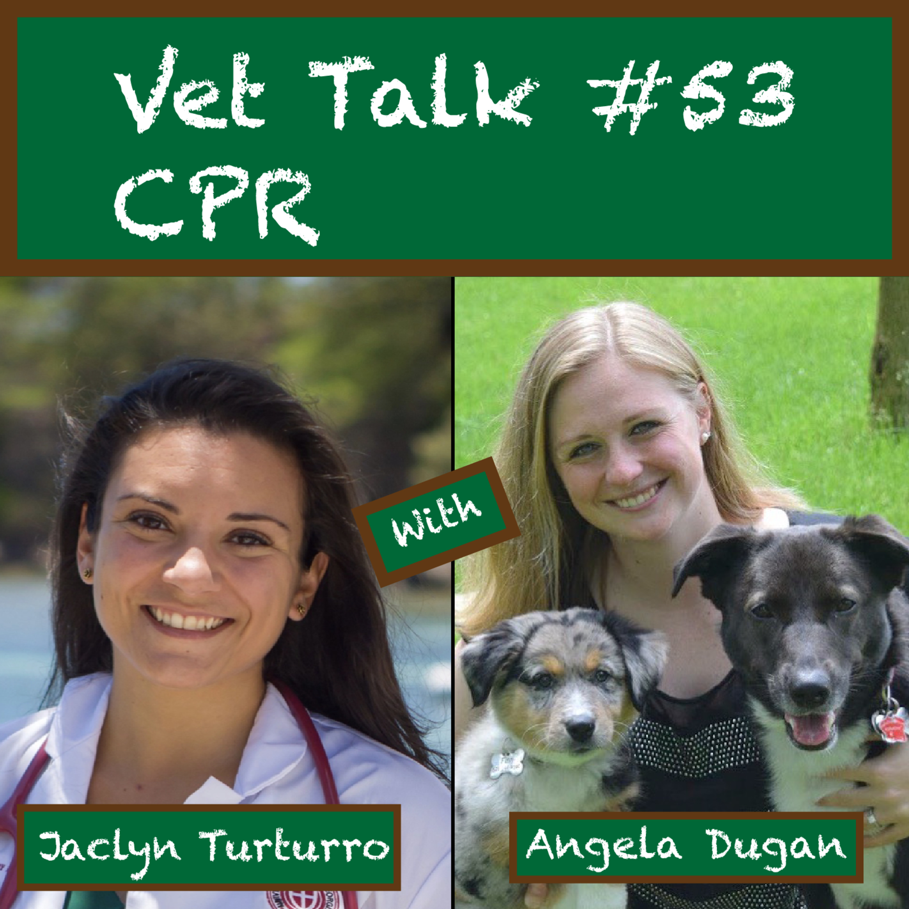 Veterinary Journal Club & Discussions