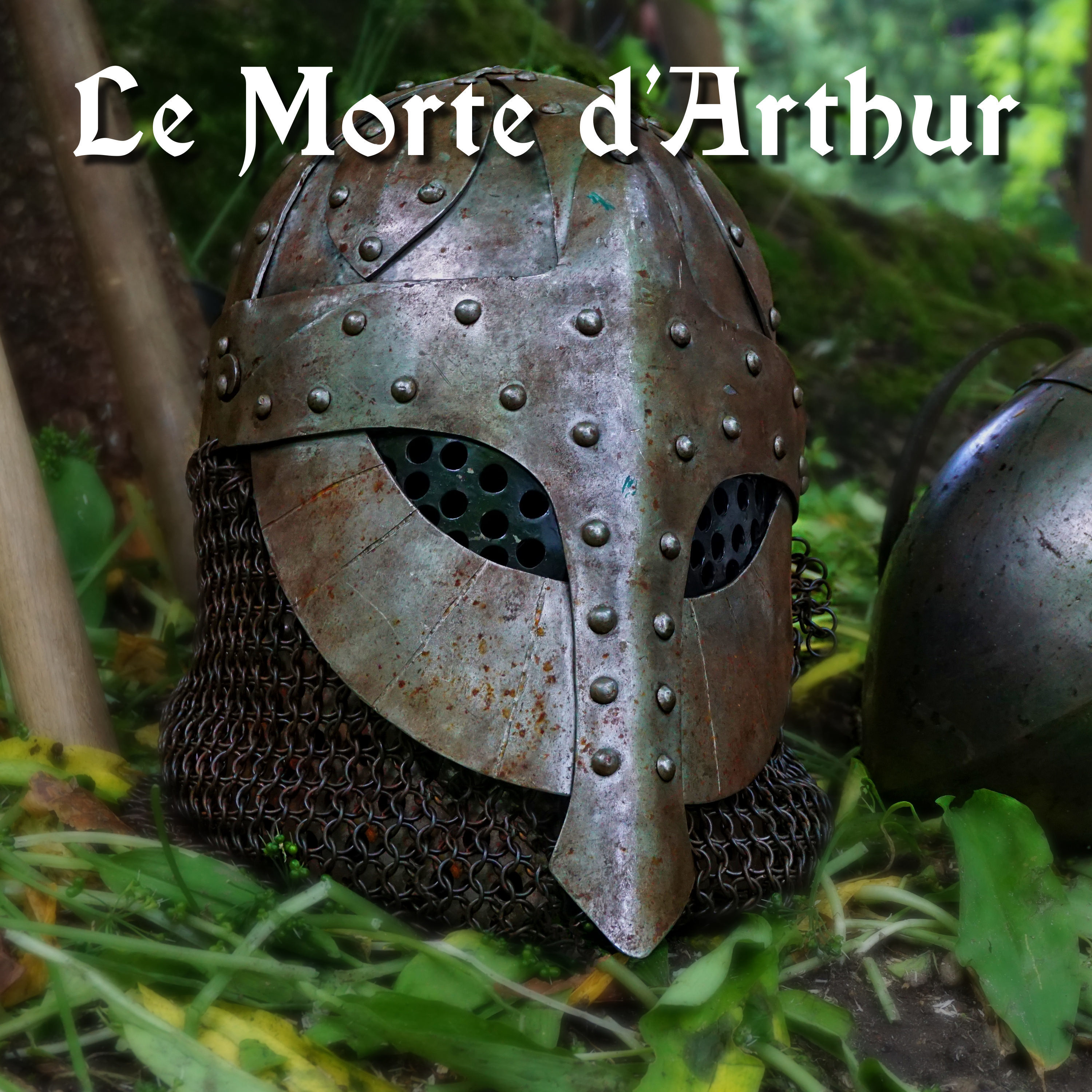 MSA023: Le Morte d'Arthur, Class 8