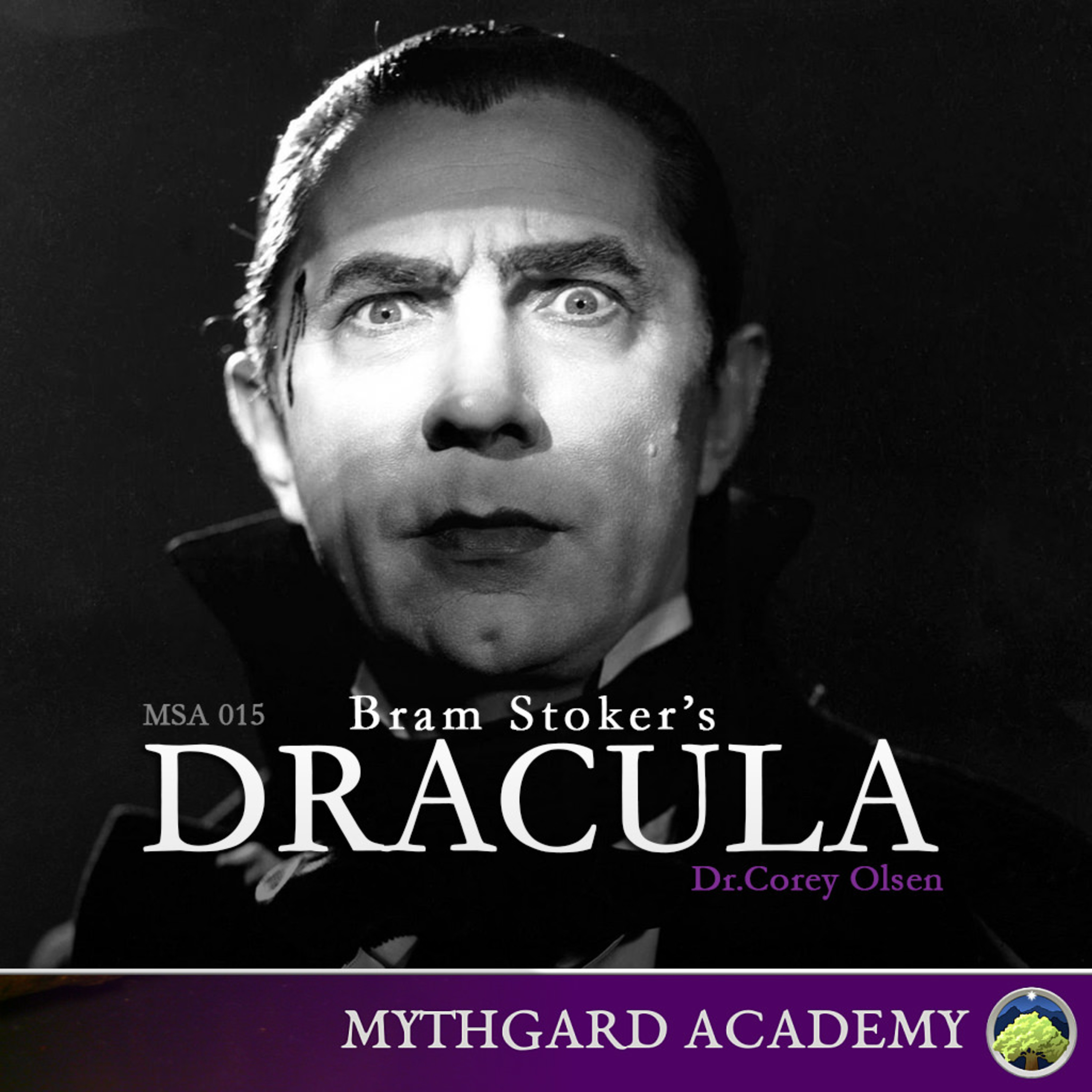 MSA015: Dracula, Class 13