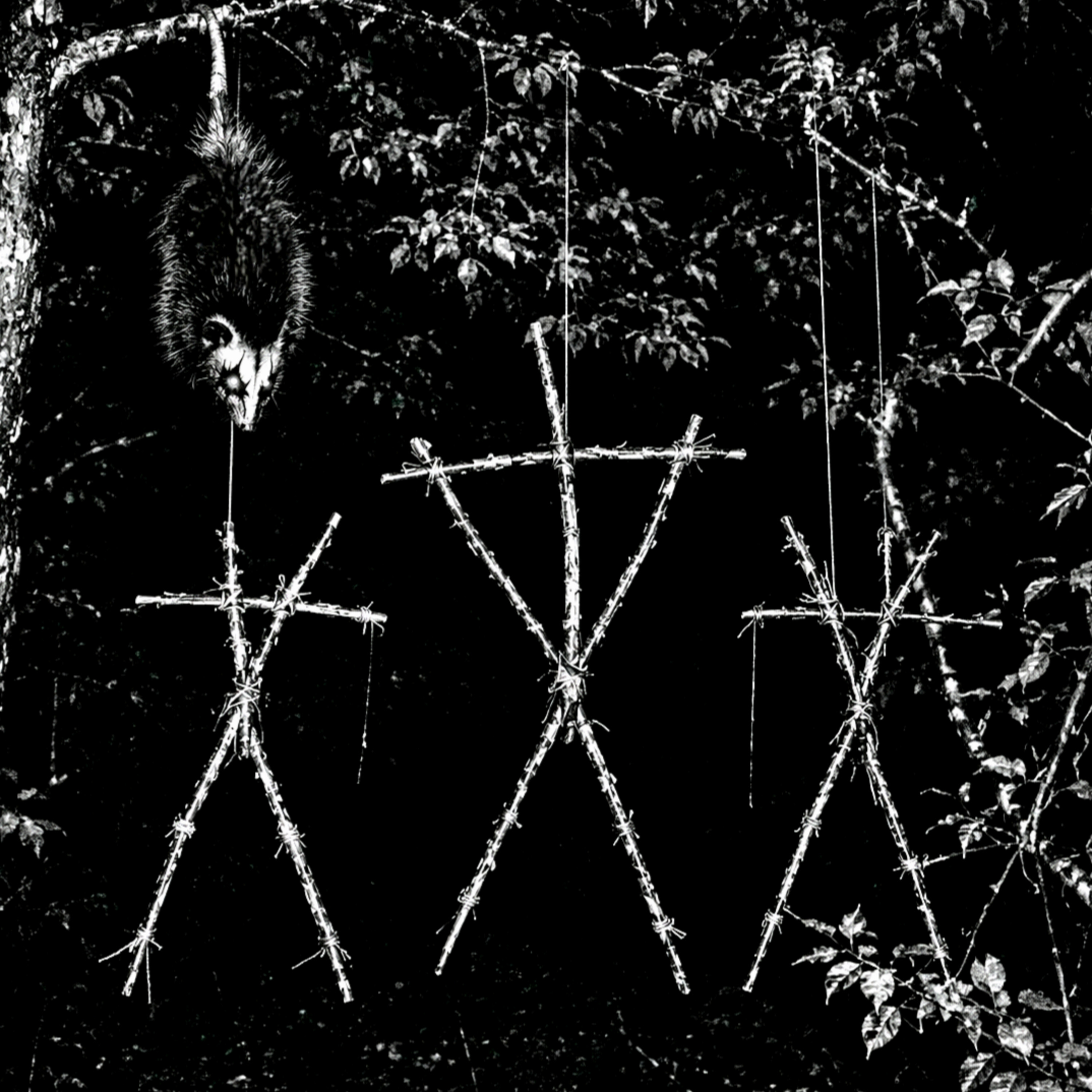 Episode 228: Should've Smashed, Faced The Corner And Knelt On The Rice(The Blair Witch Project - 1999) episode artwork