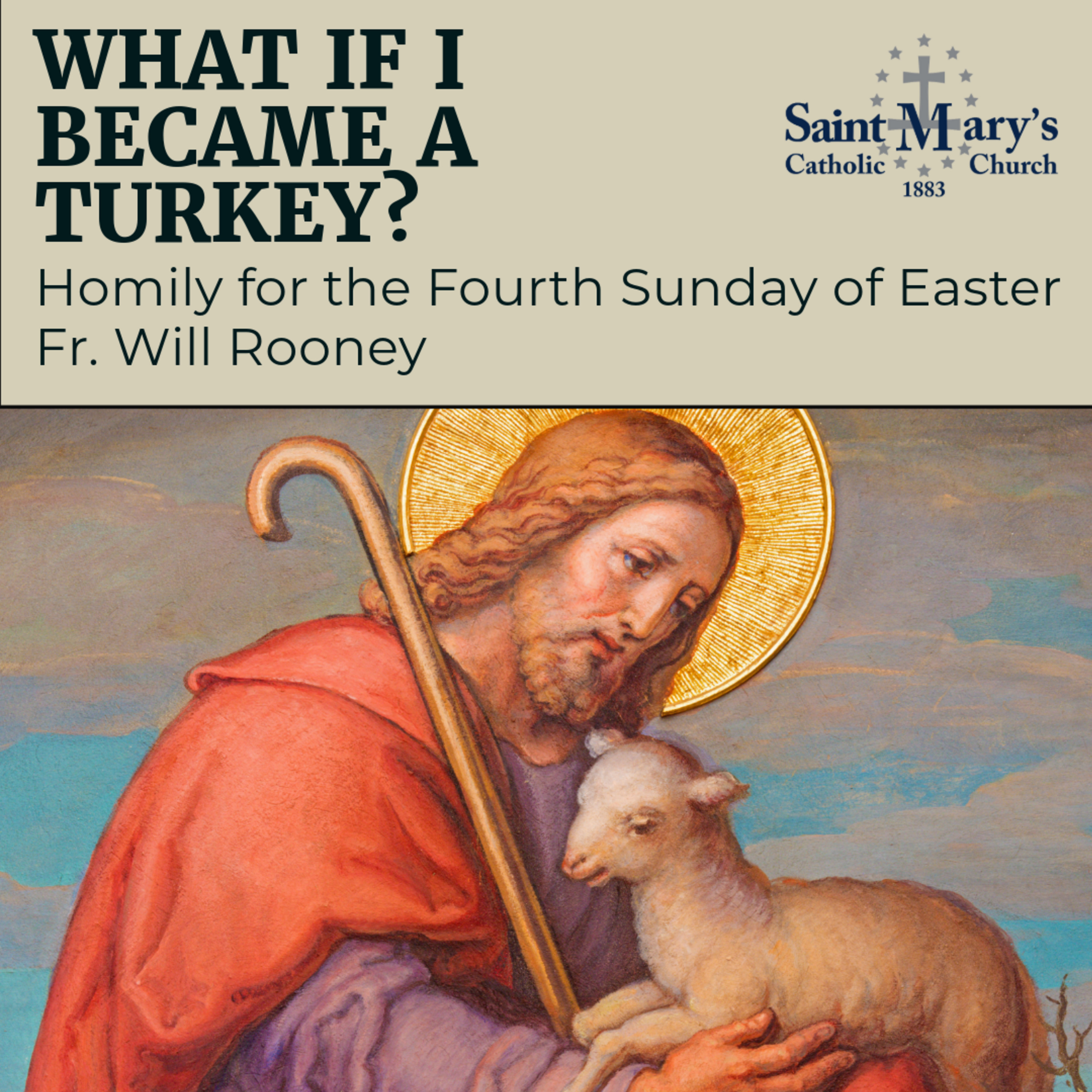 WHAT IF I BECAME A TURKEY? | Homily for the Fourth Sunday of Easter | Fr. Will Rooney episode artwork