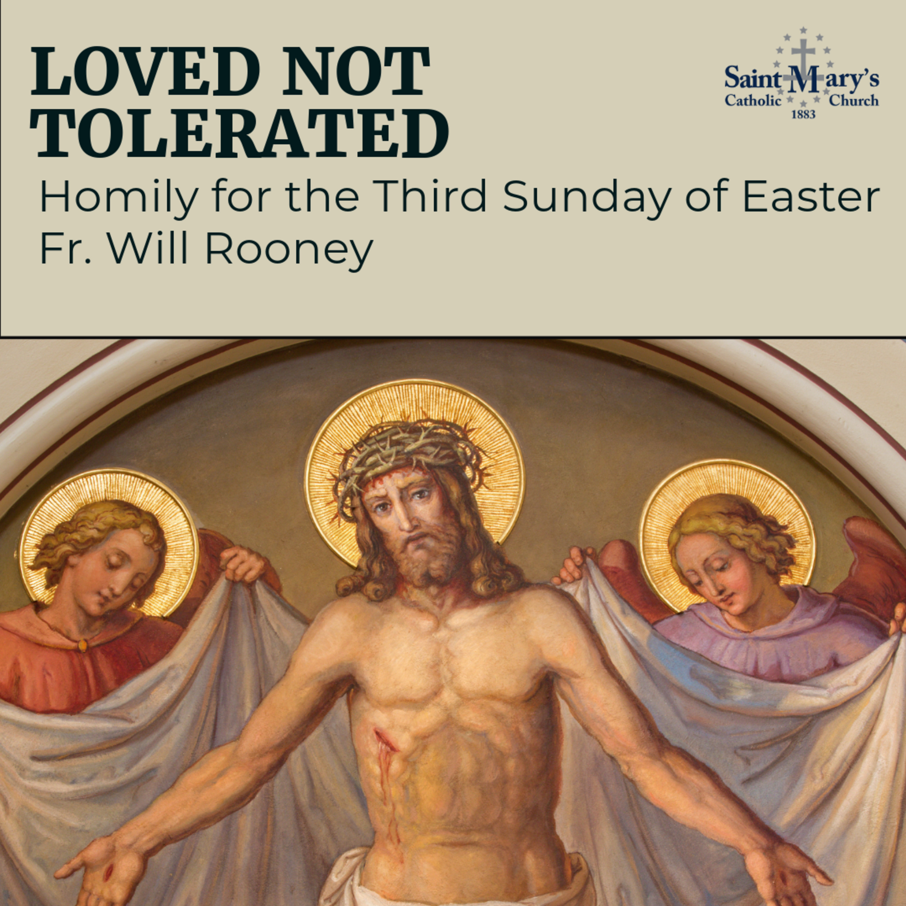 Loved Not Tolerated | Homily for the Third Sunday of Easter | Fr. Will Rooney episode artwork