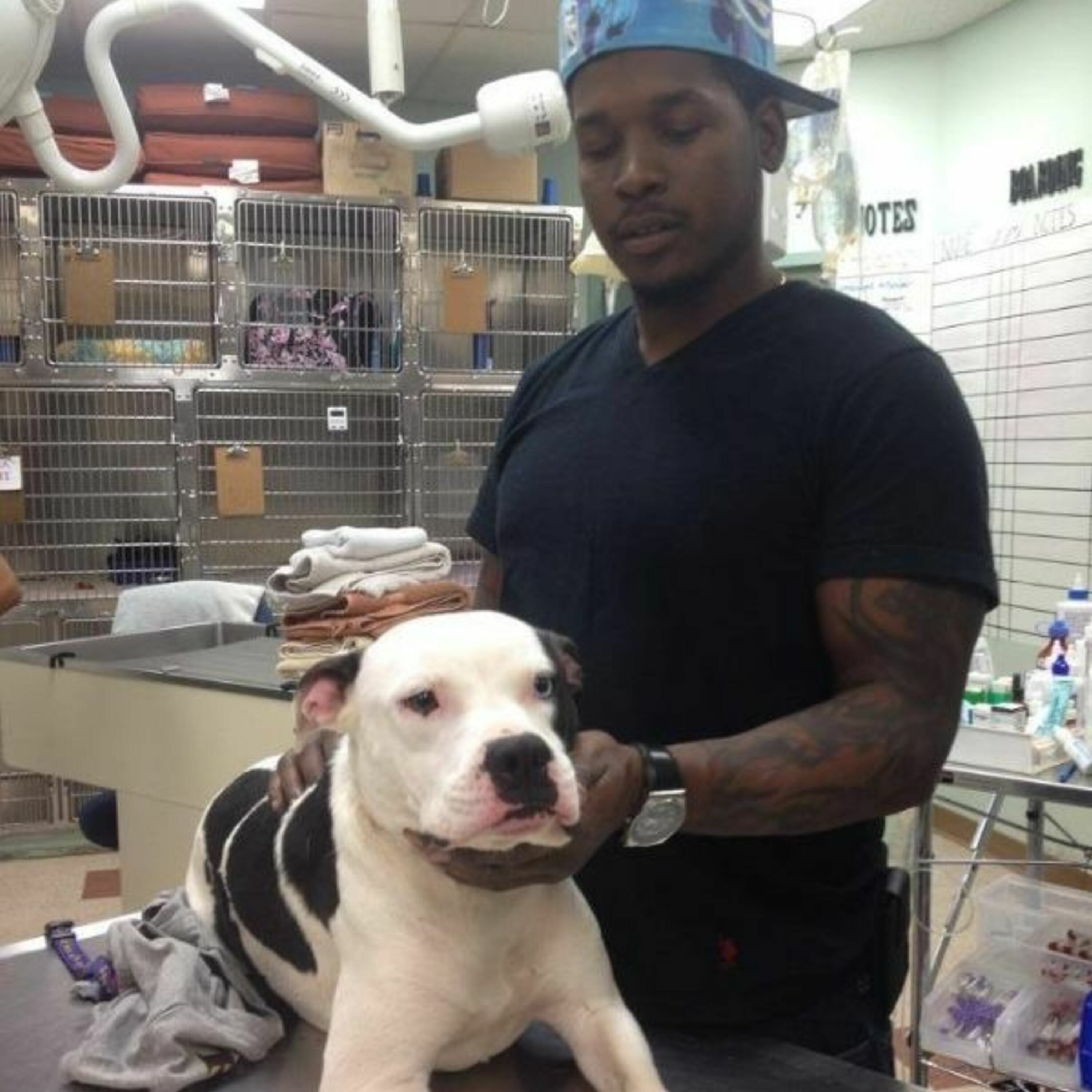 Episode 32: "Recalls Save Lives": Puppies and Pitbulls with Damelle A. Morgan Sr. episode artwork