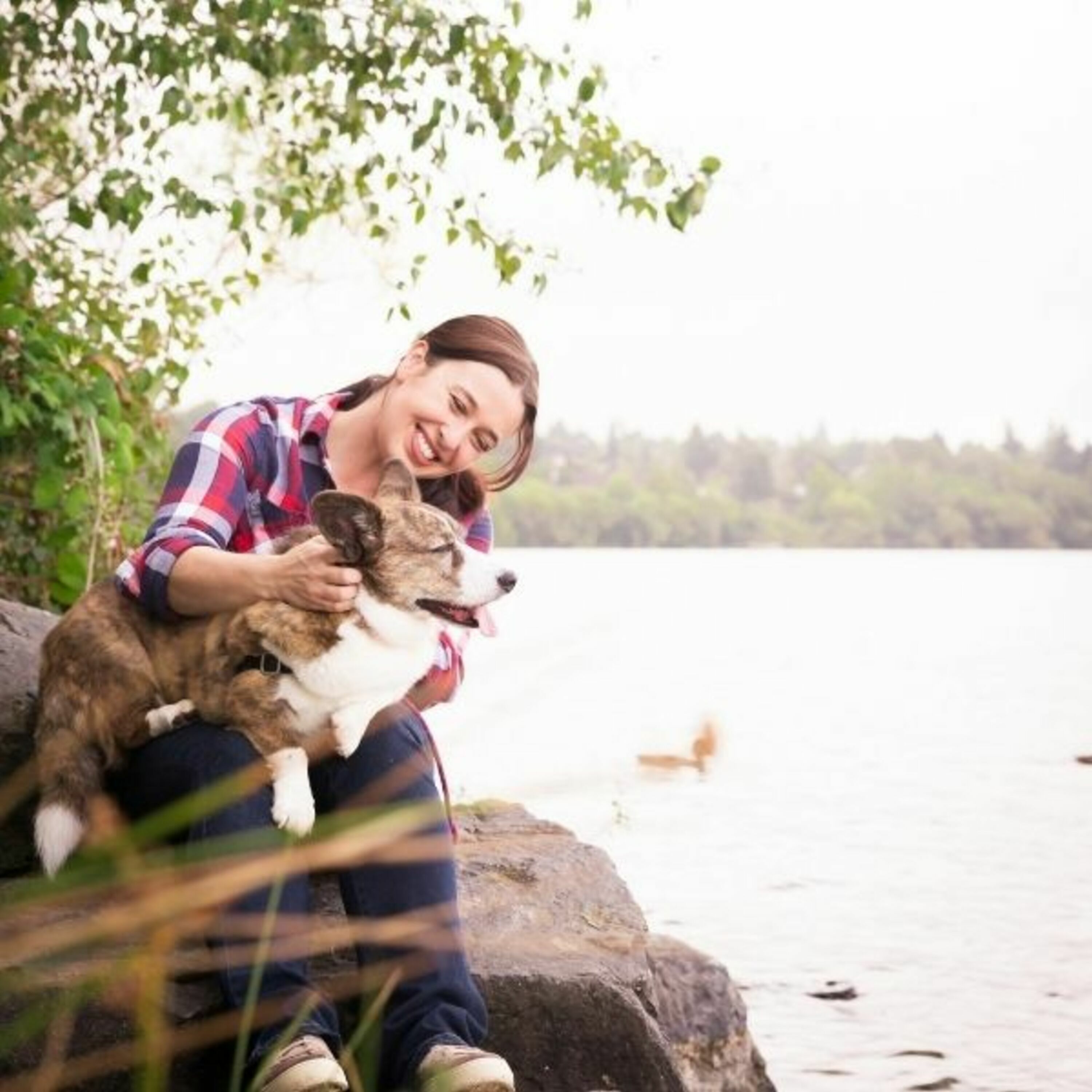 Episode 27: It Was Just Perfect: A Trainer's Journey with Cathy Madson episode artwork