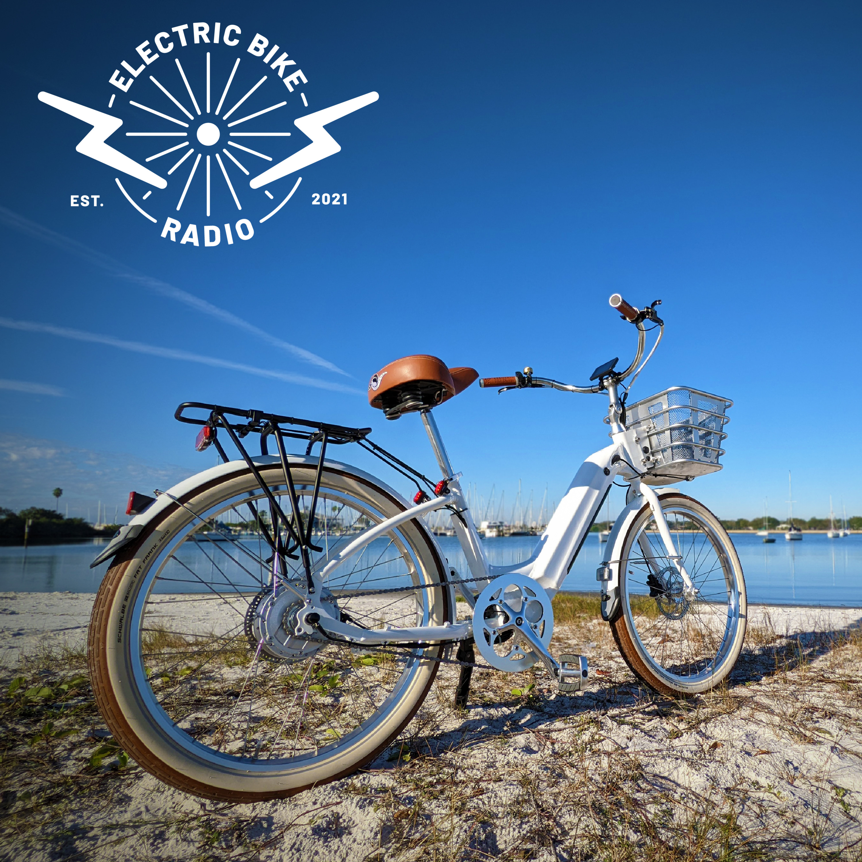 Electric Bike Radio