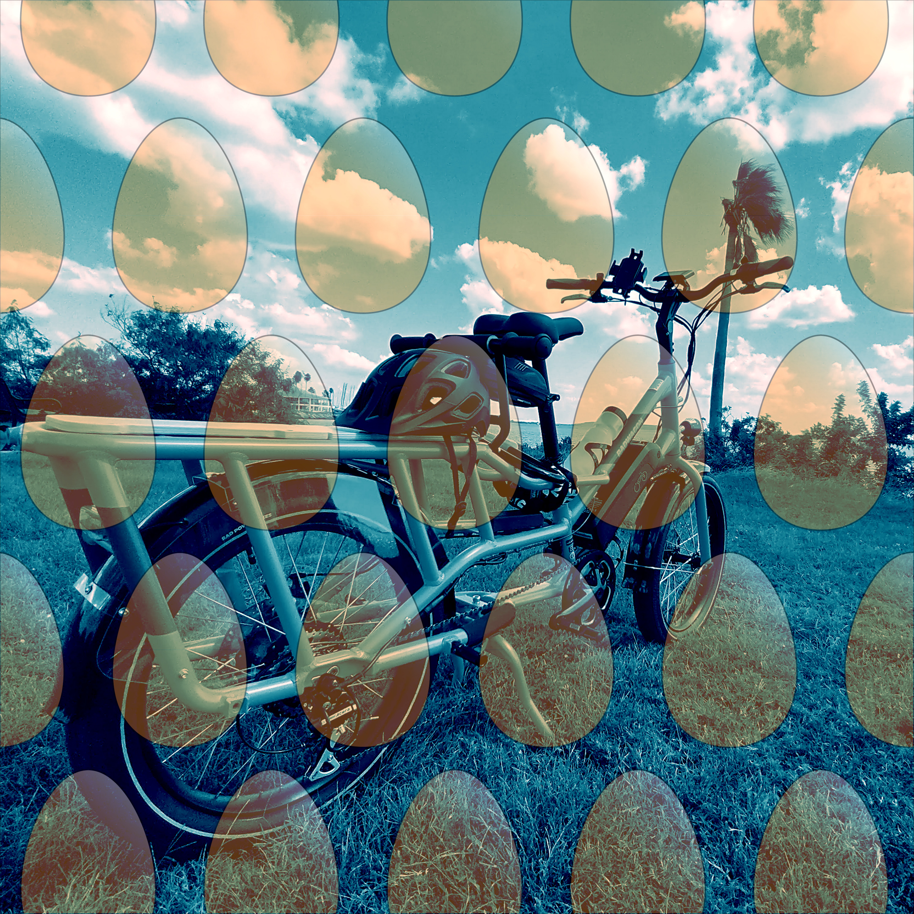 Electric Bike Radio