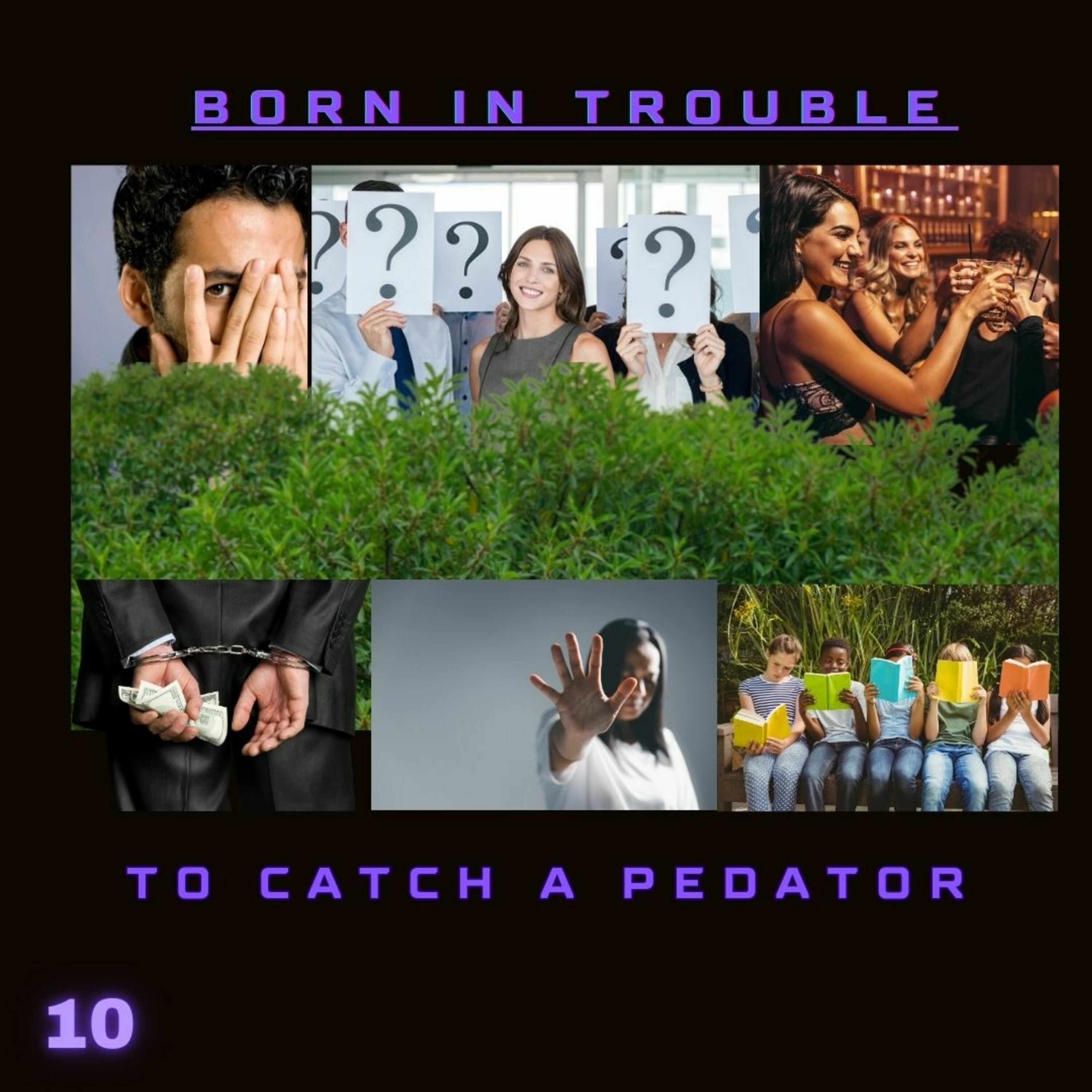 To Catch a Pedator episode artwork