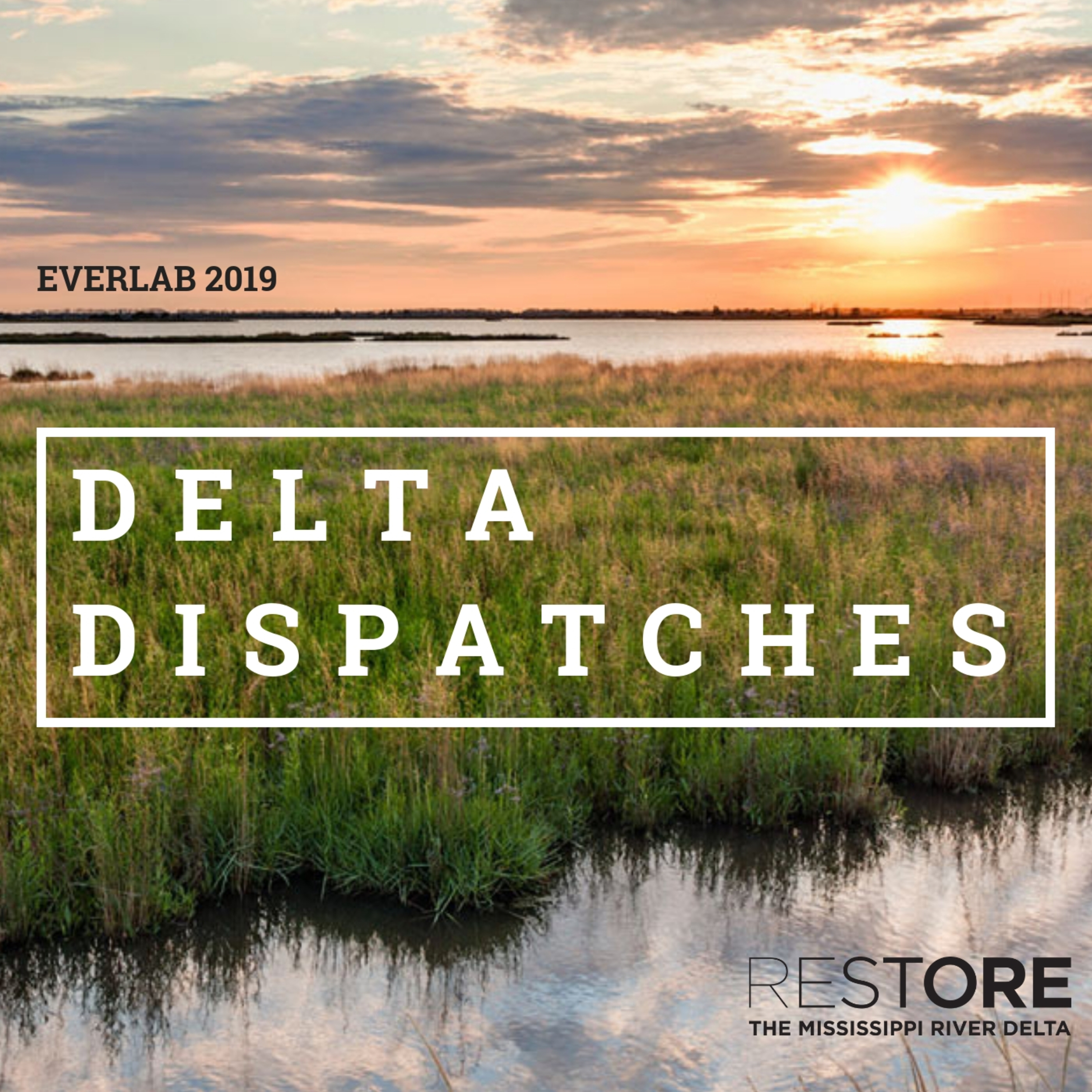 Delta Dispatches