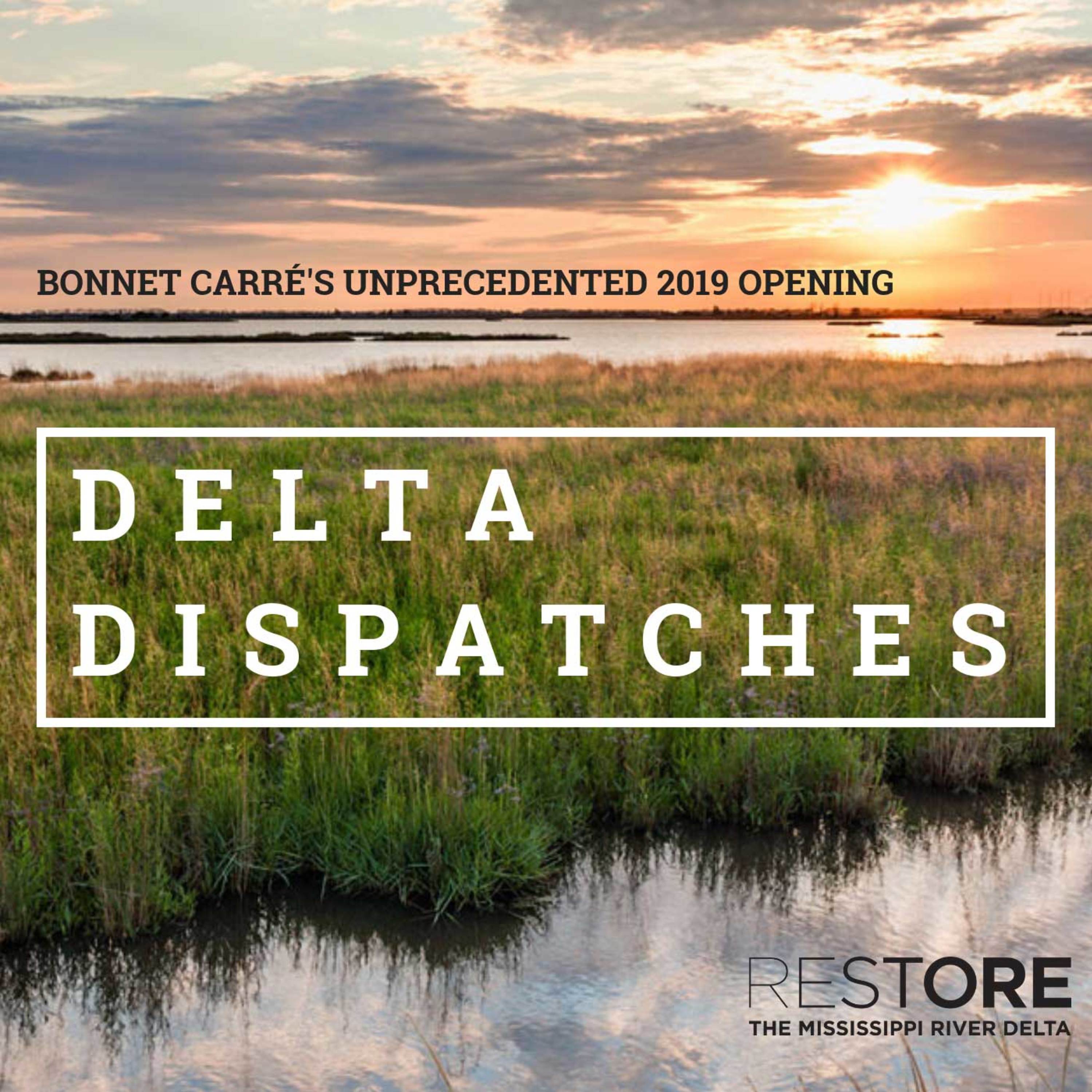 Delta Dispatches