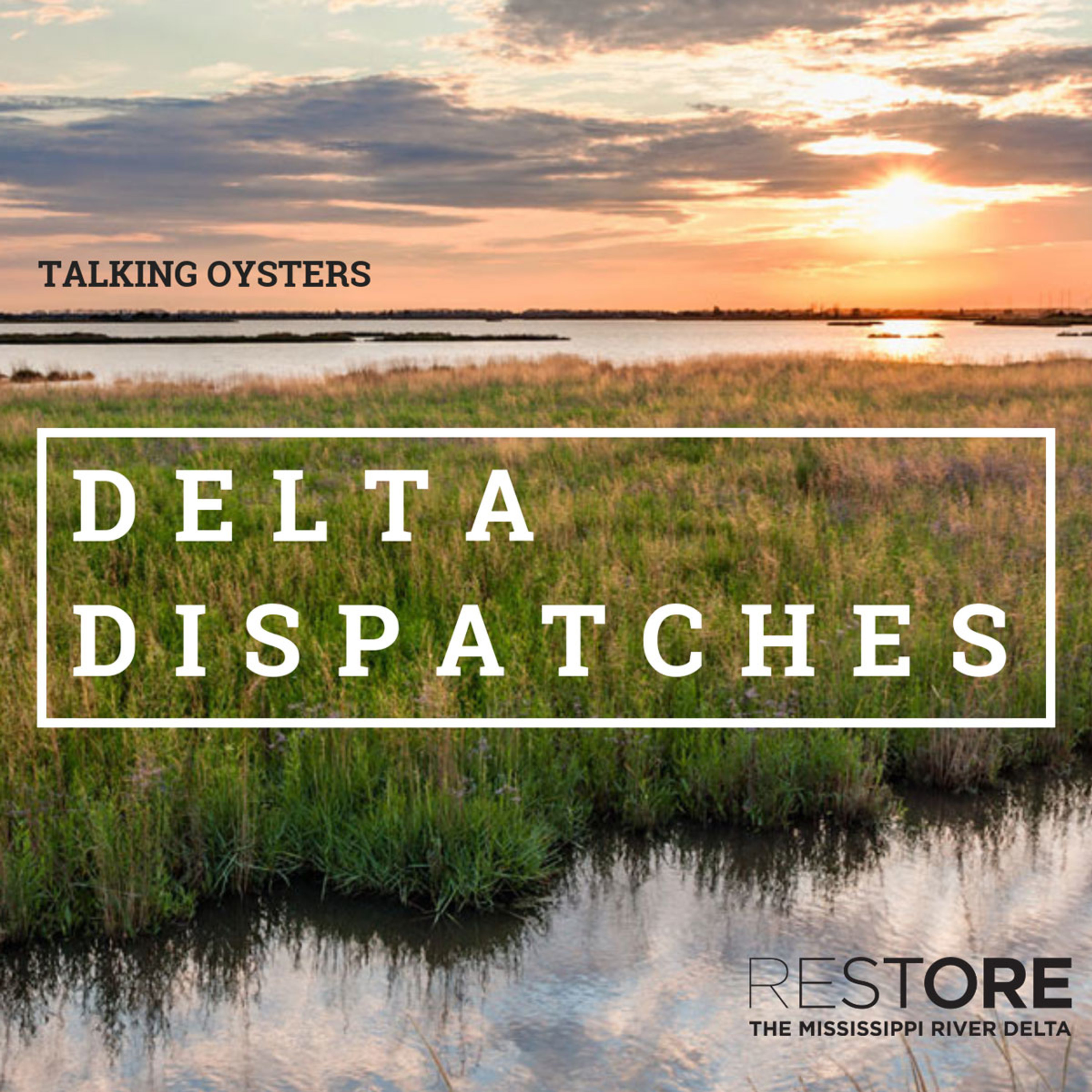 Delta Dispatches
