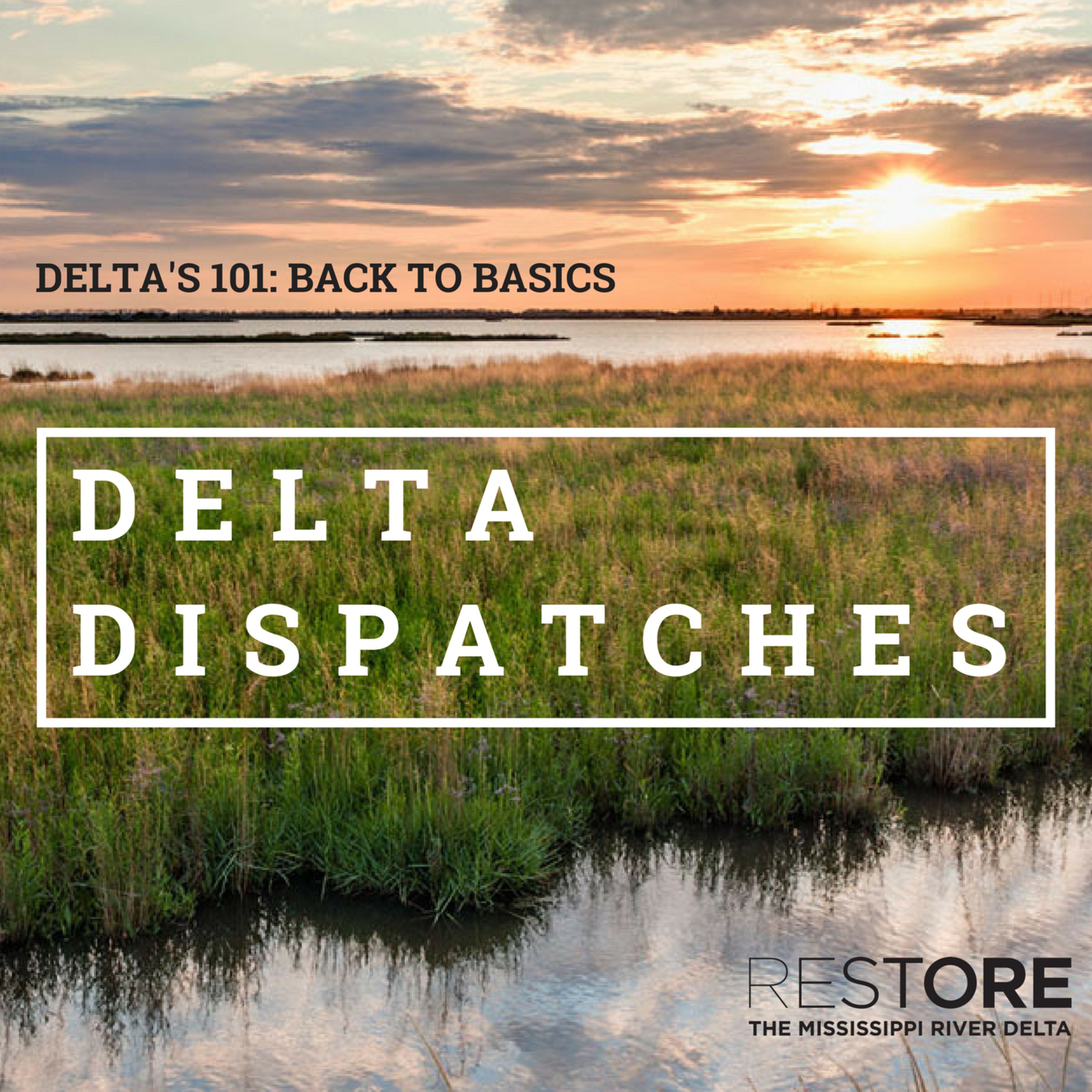 Delta Dispatches