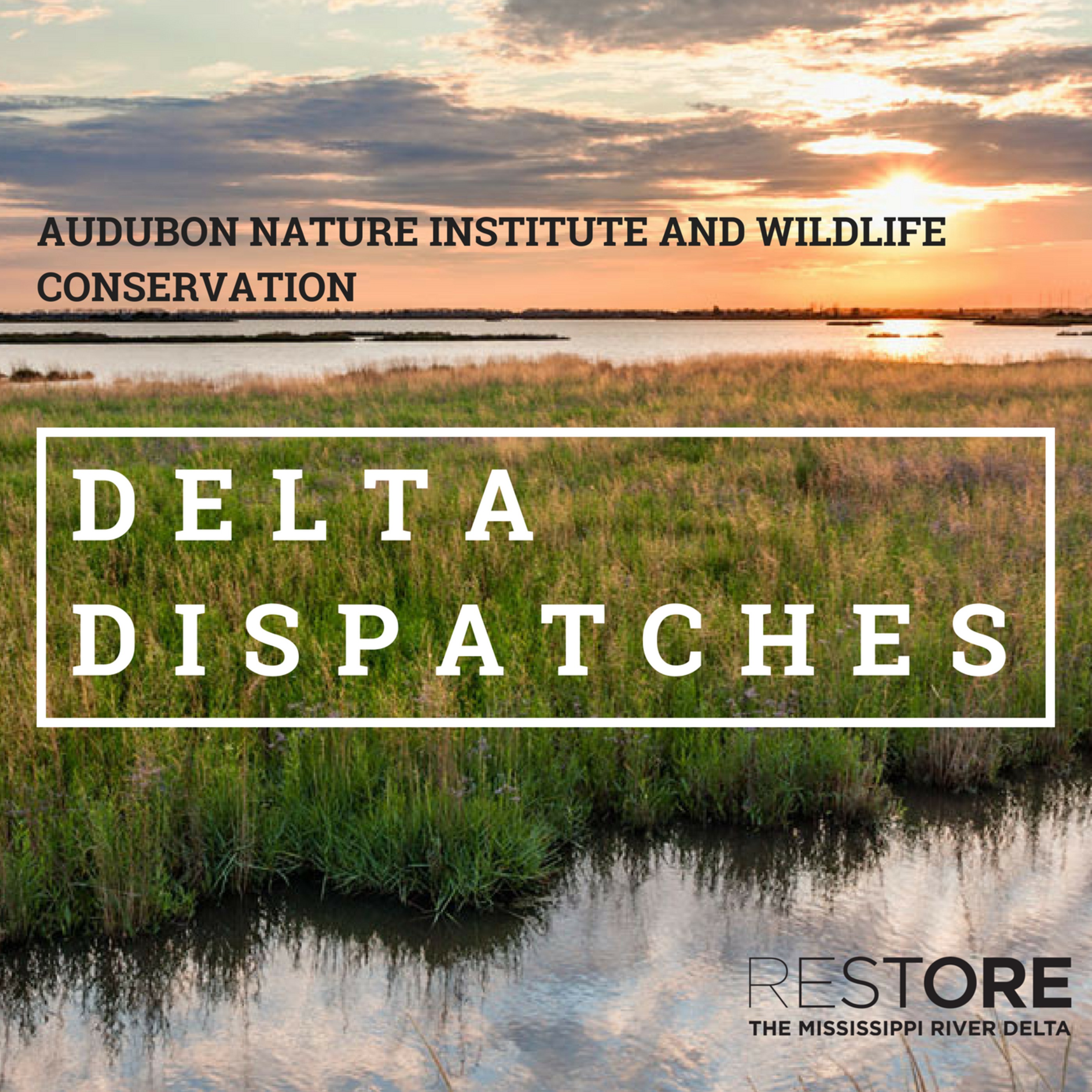 Delta Dispatches