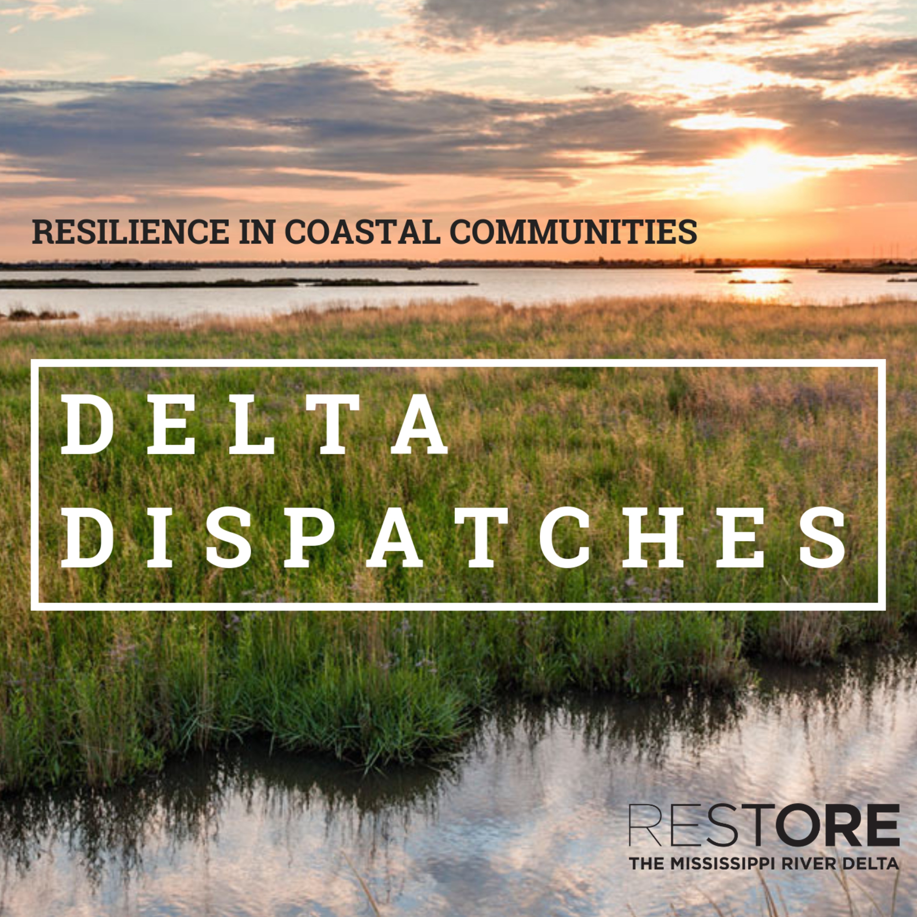 Delta Dispatches