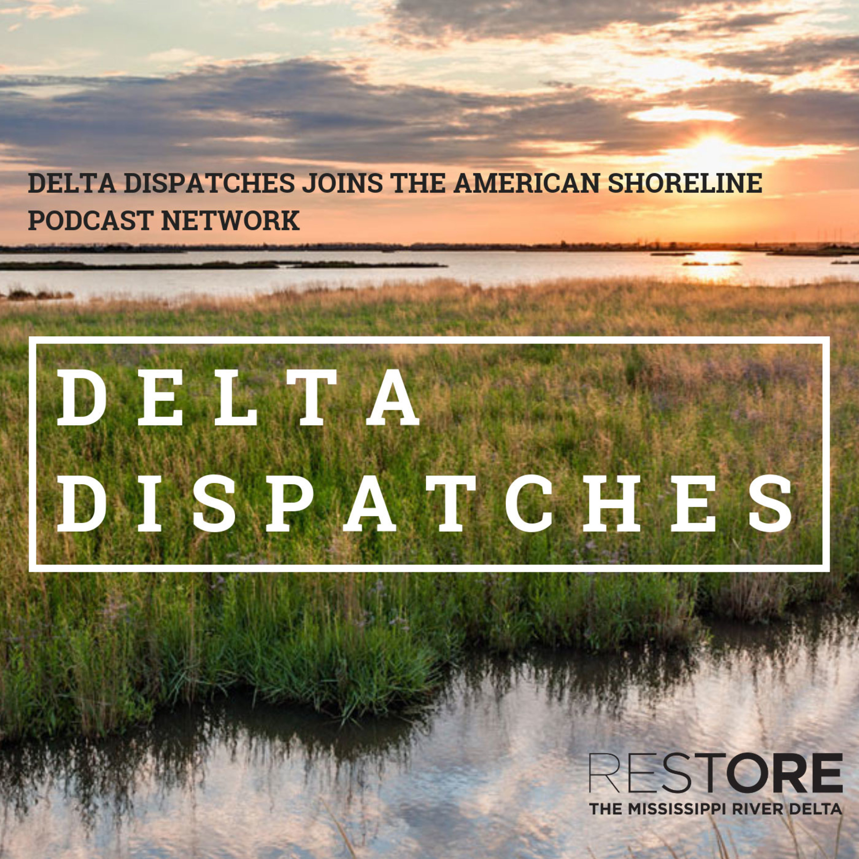 Delta Dispatches