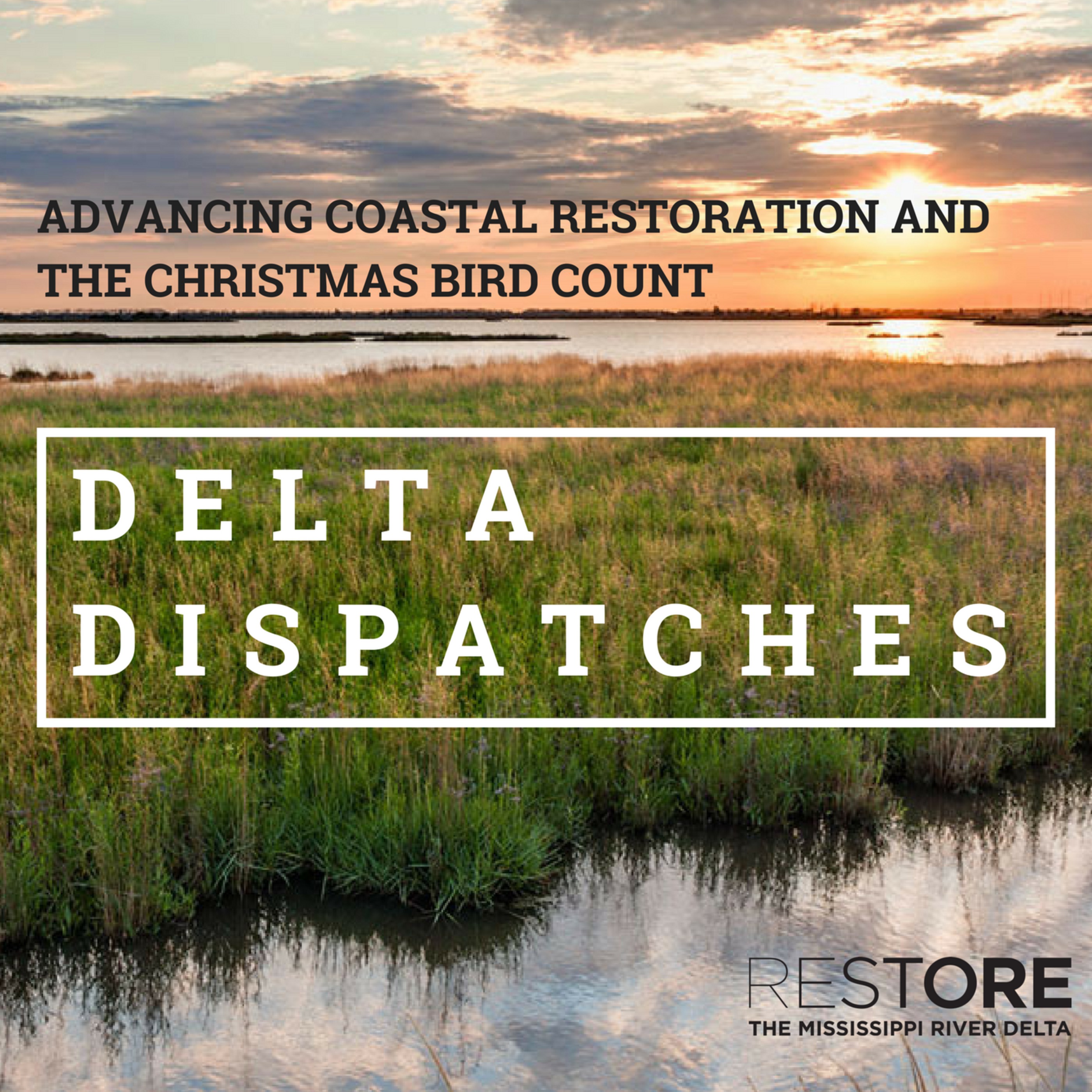 Delta Dispatches