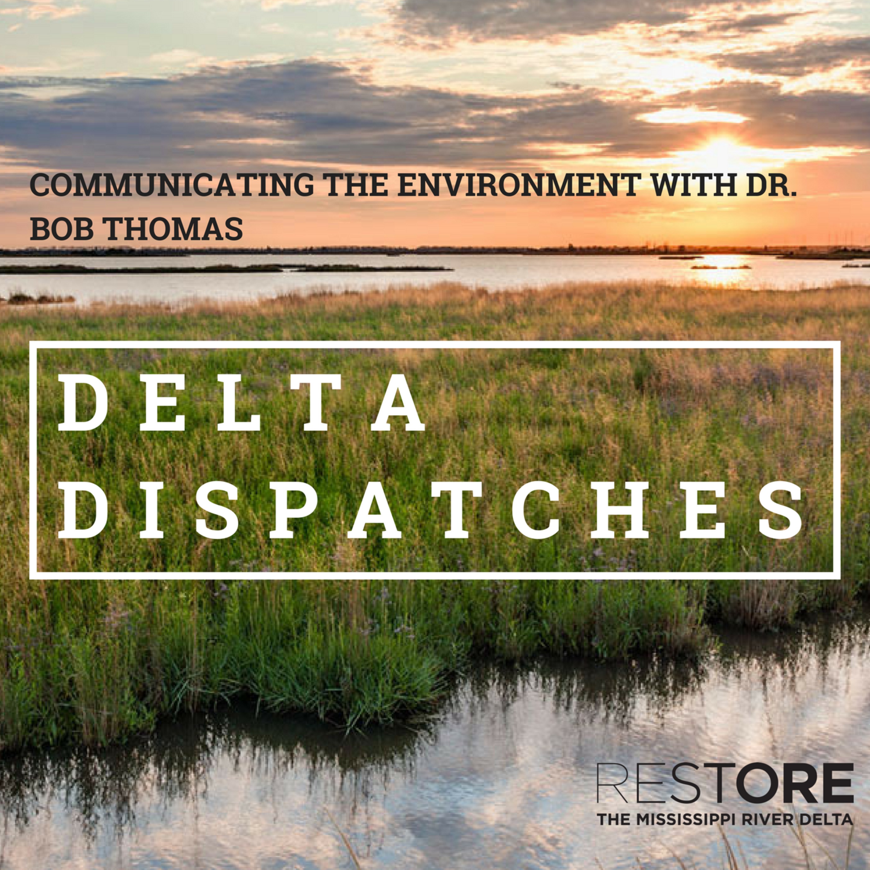 Delta Dispatches