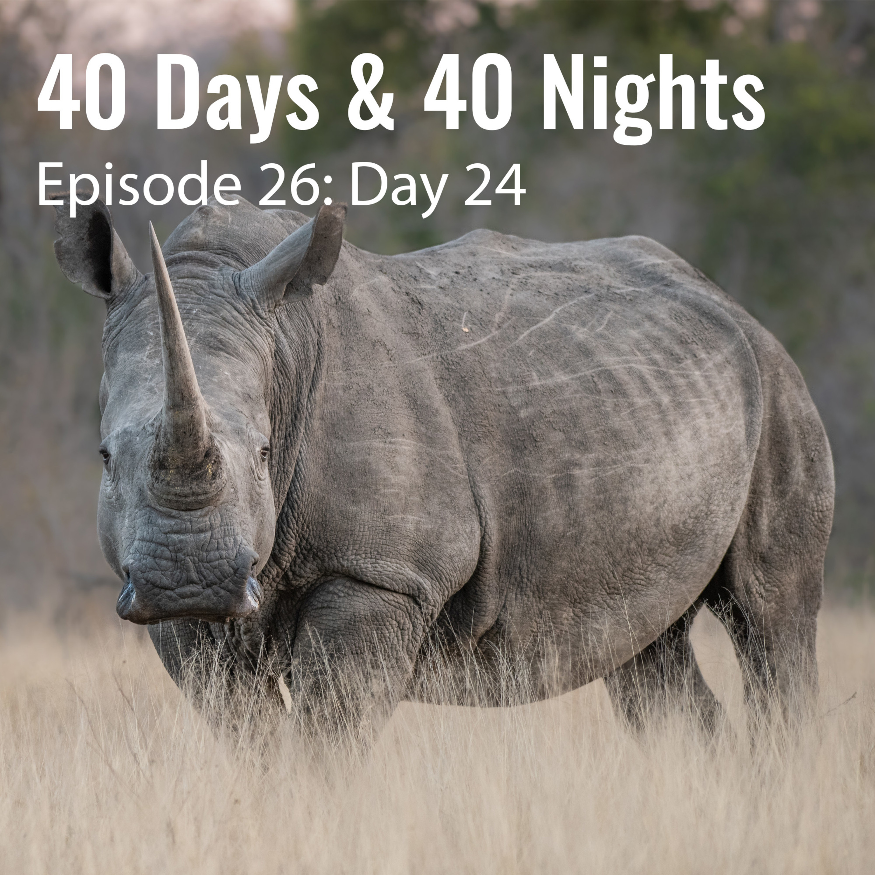 Track Your Life with Boyd Varty