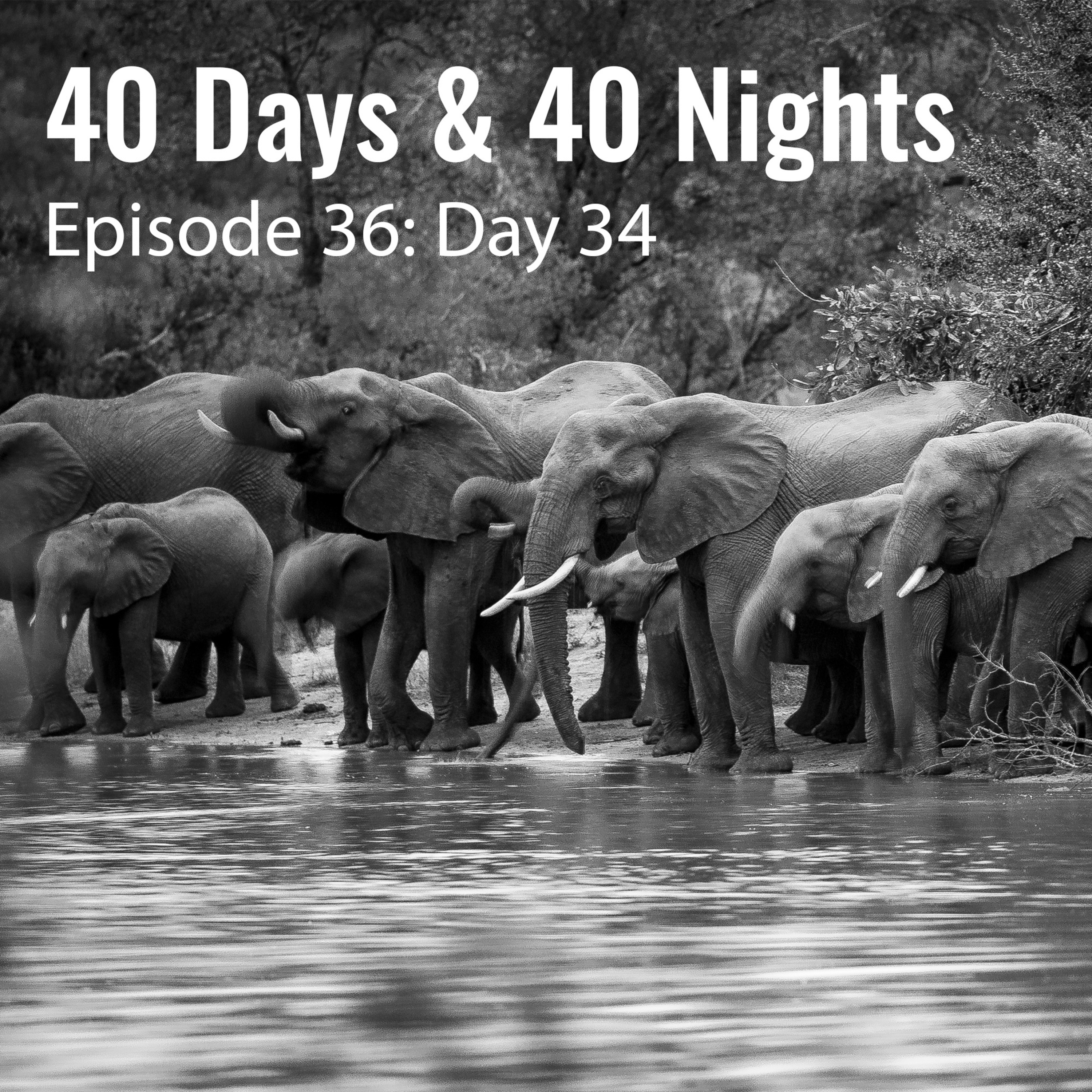 Track Your Life with Boyd Varty