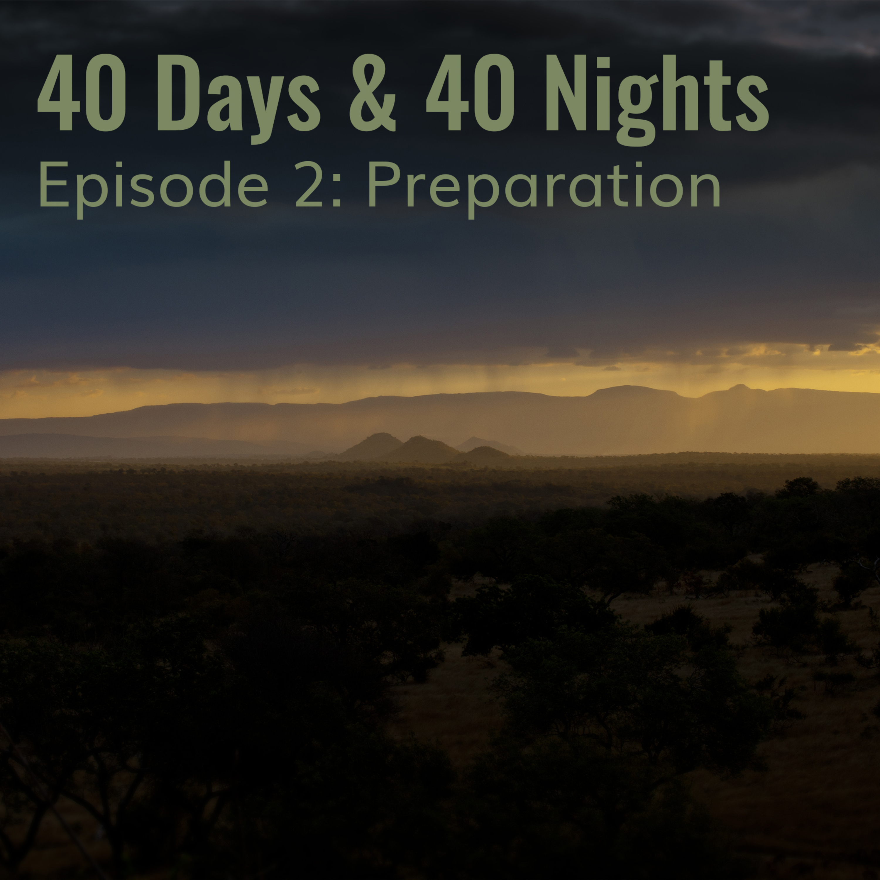 Track Your Life with Boyd Varty