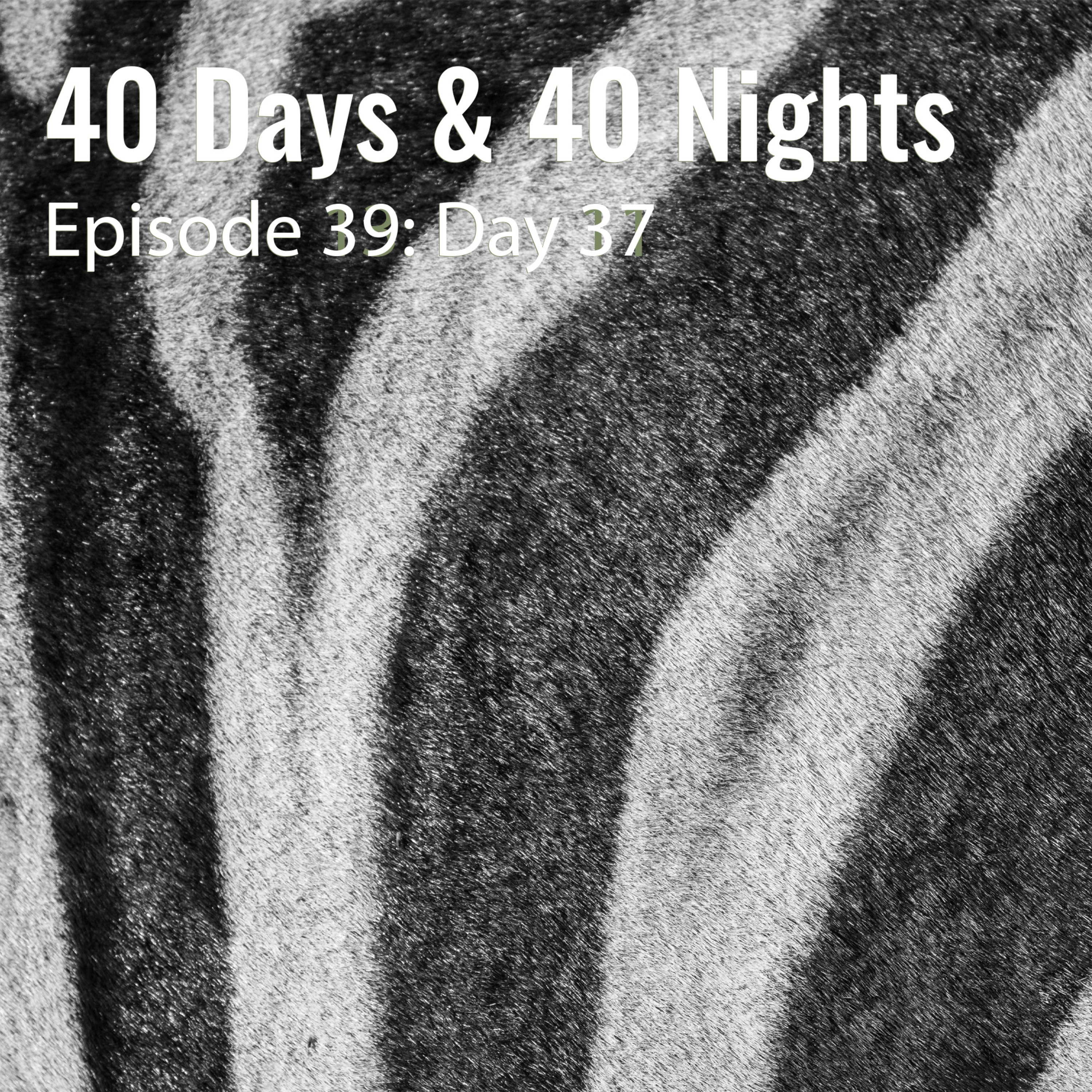 Track Your Life with Boyd Varty