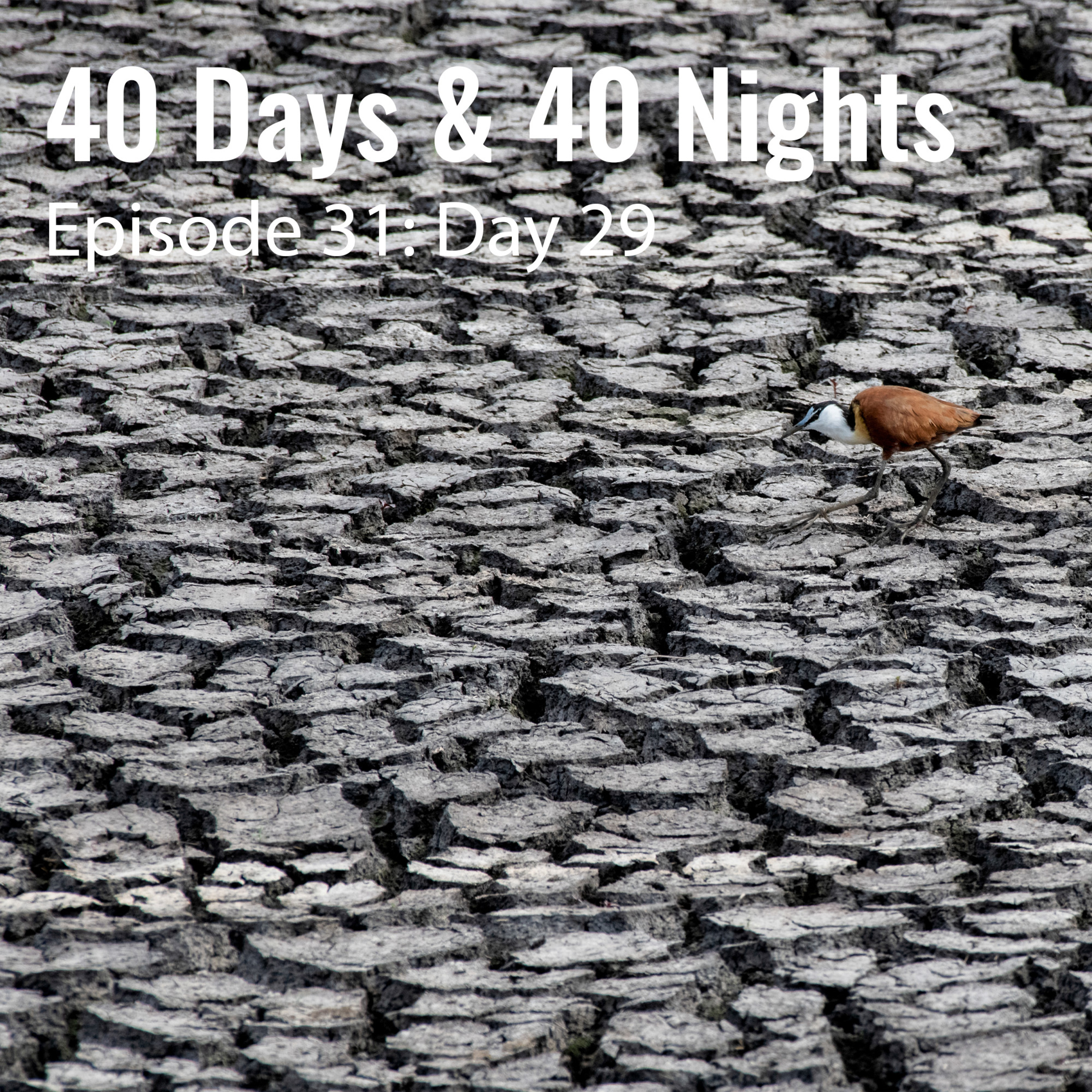 Track Your Life with Boyd Varty