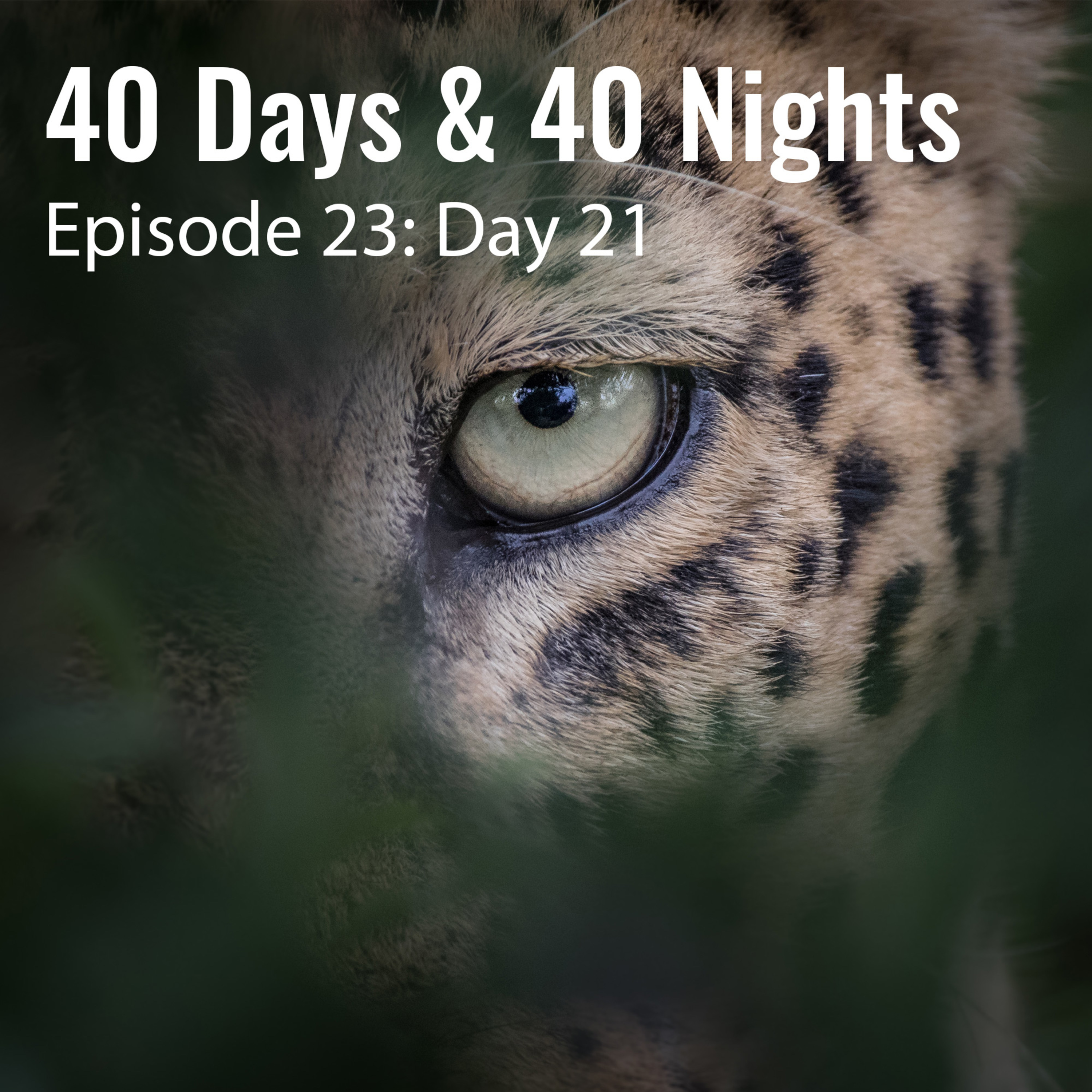 Track Your Life with Boyd Varty