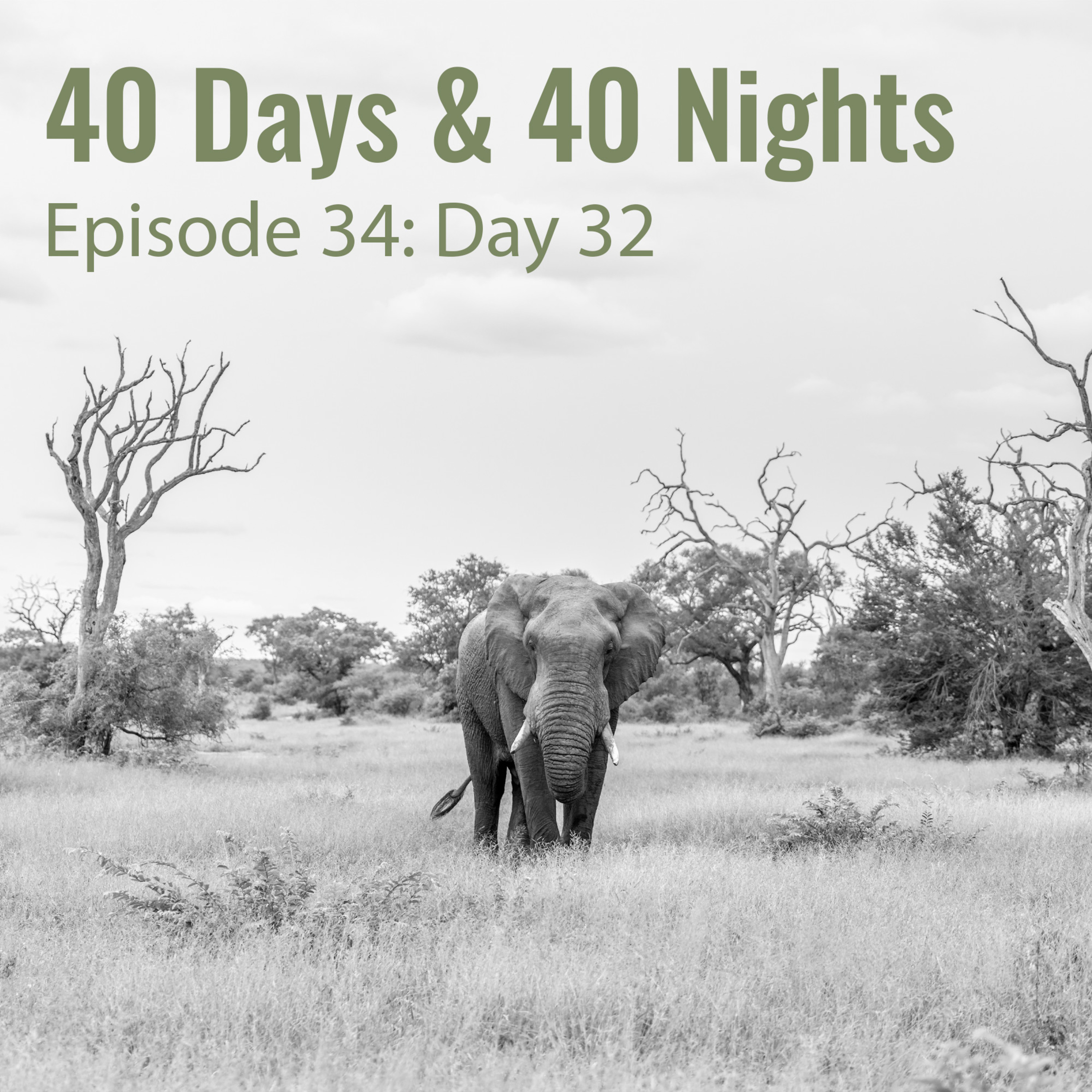 Track Your Life with Boyd Varty