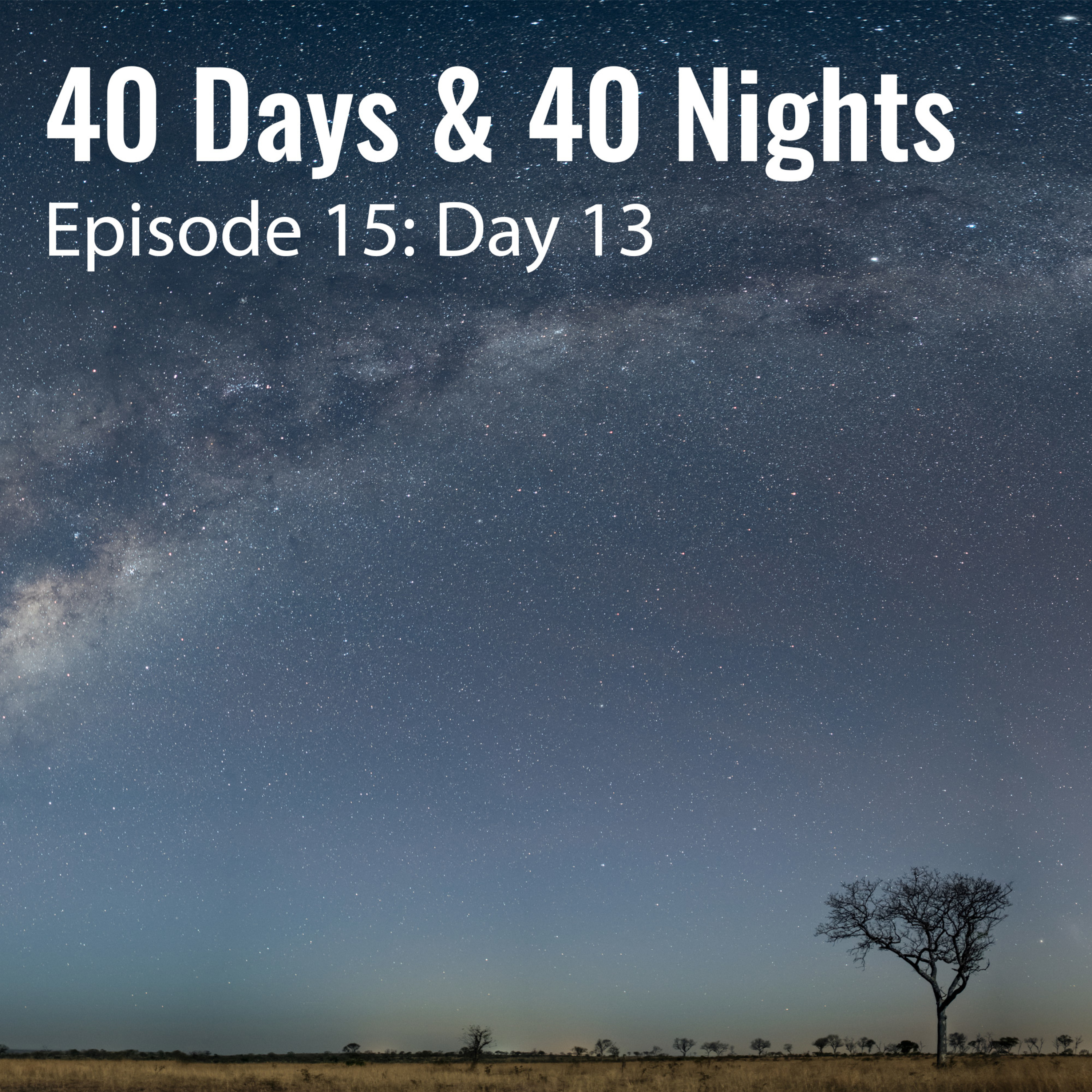 Track Your Life with Boyd Varty
