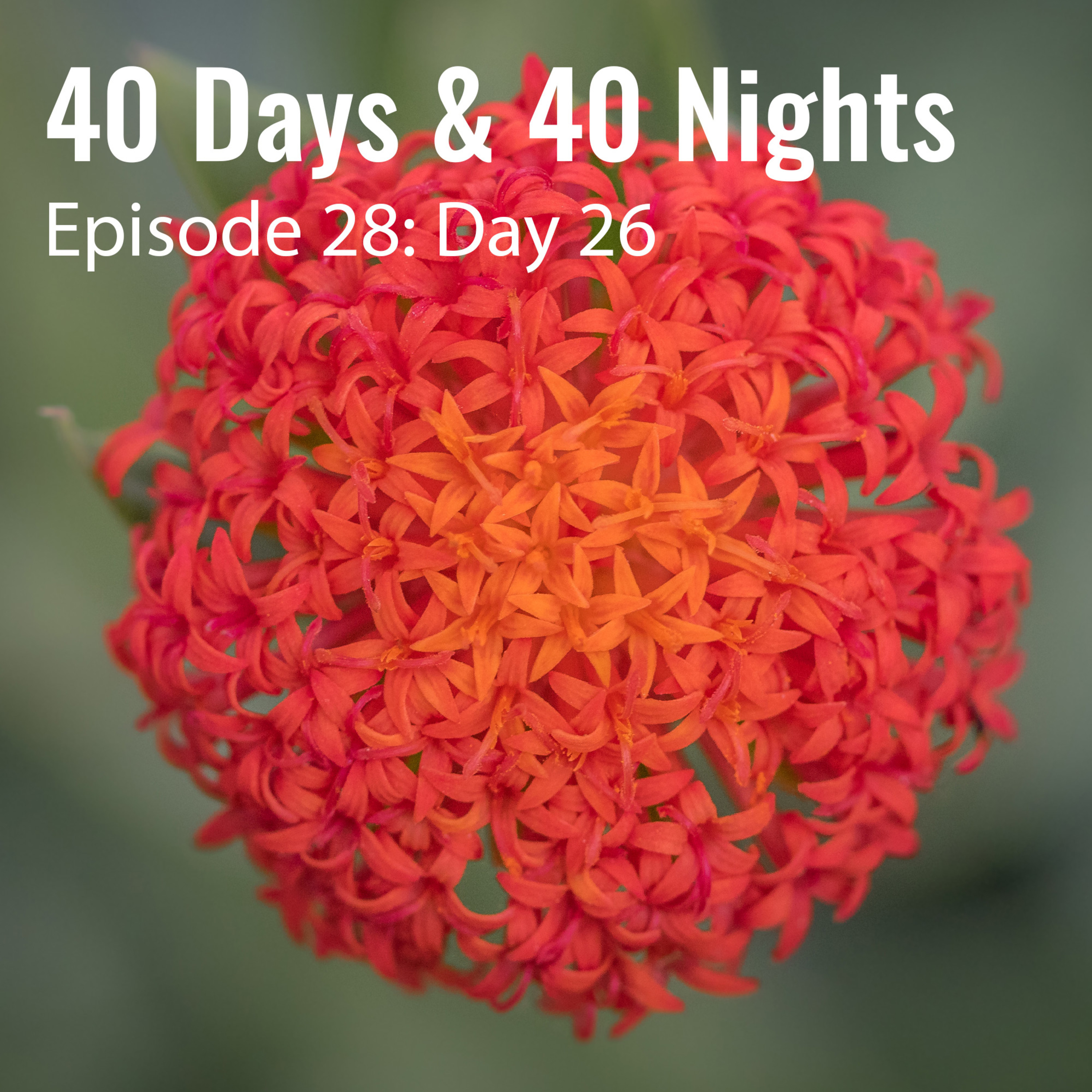 Track Your Life with Boyd Varty