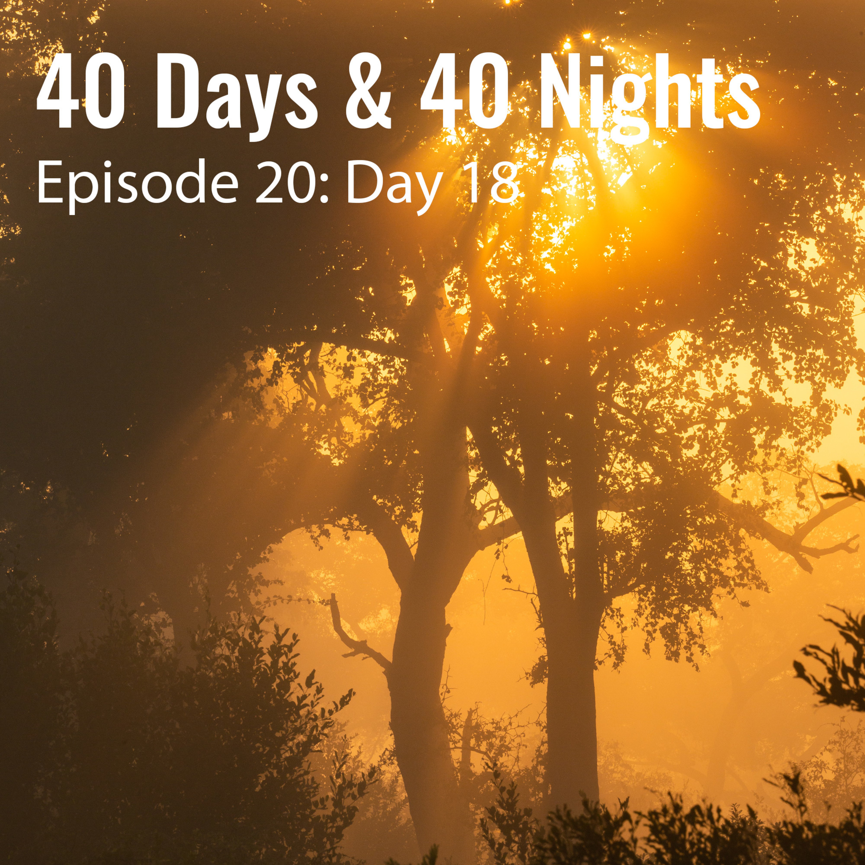 Track Your Life with Boyd Varty