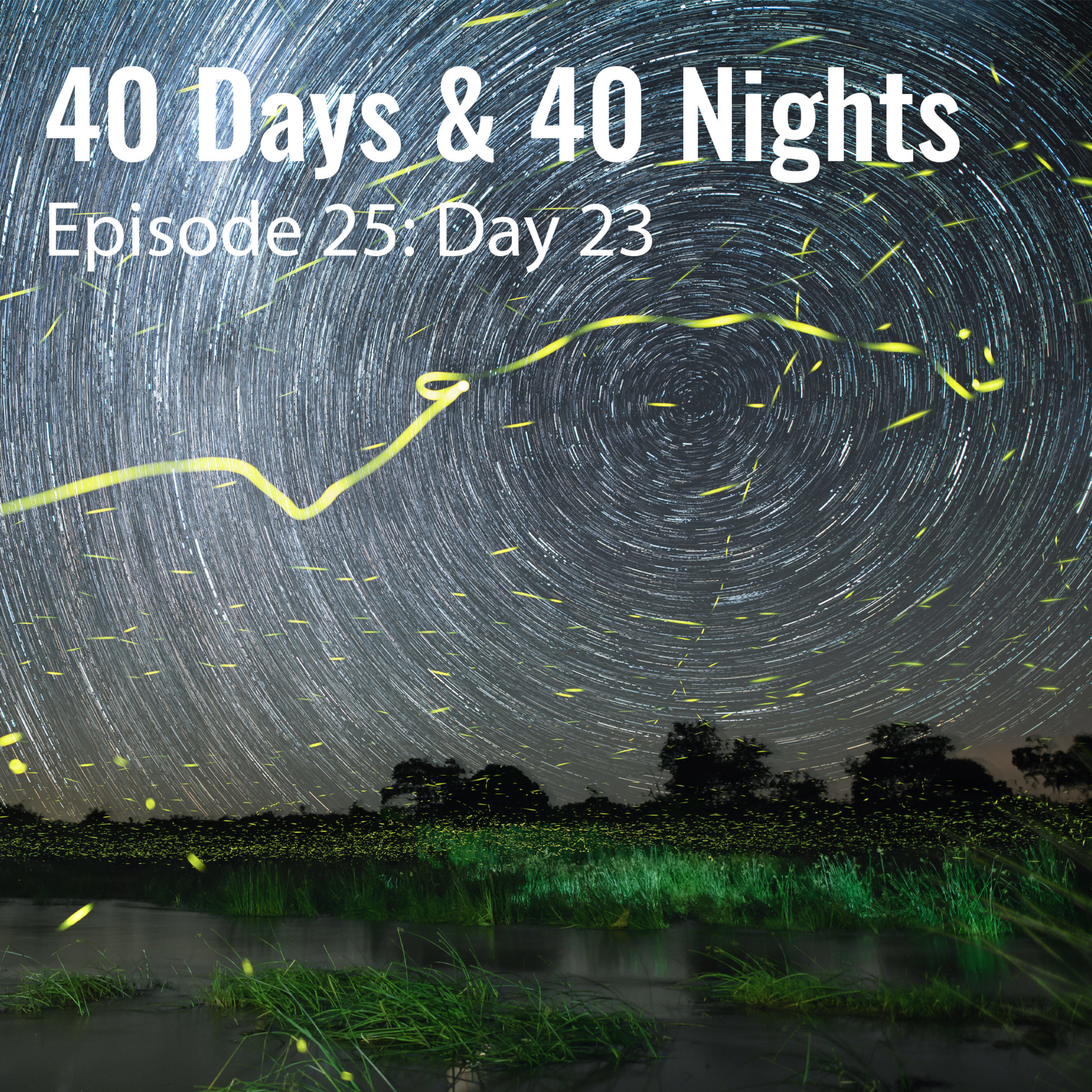 Track Your Life with Boyd Varty