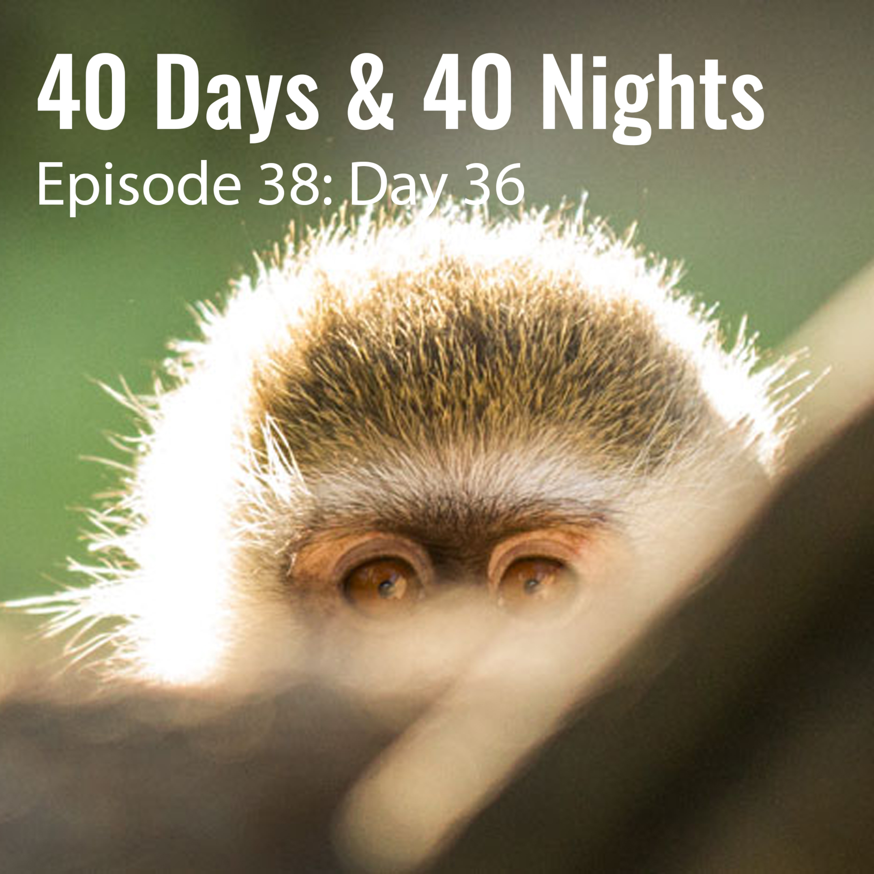 Track Your Life with Boyd Varty