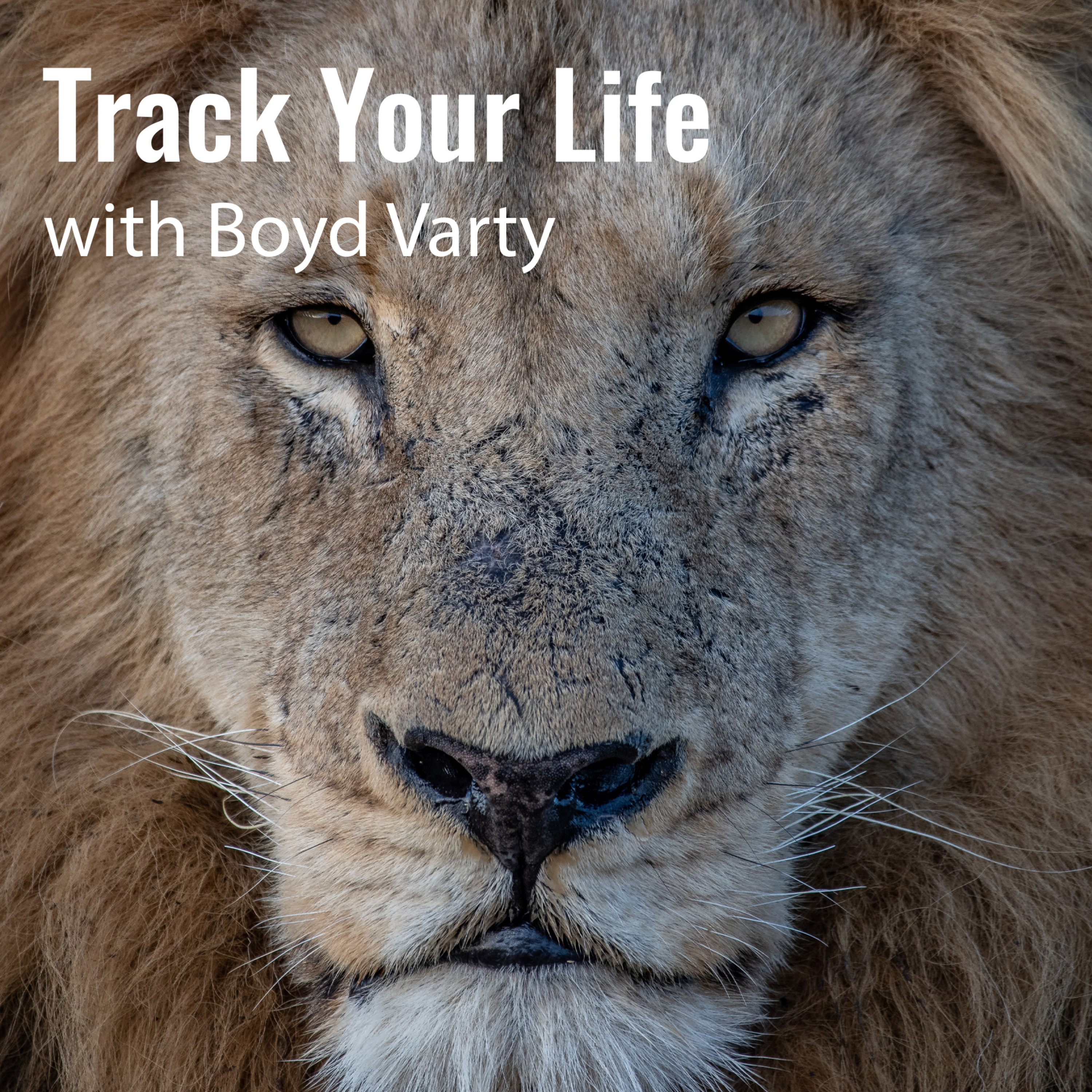 Track Your Life with Boyd Varty