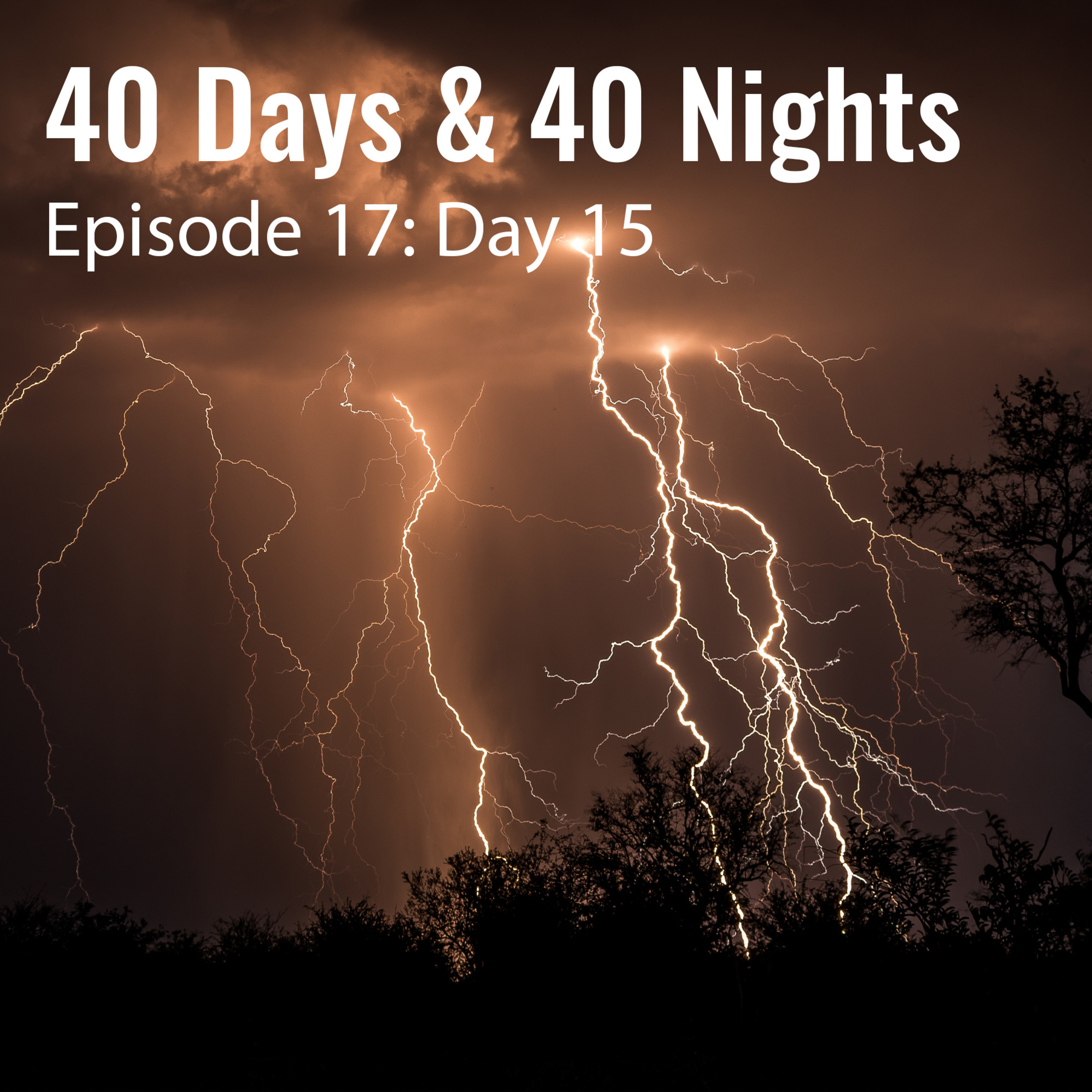 Track Your Life with Boyd Varty