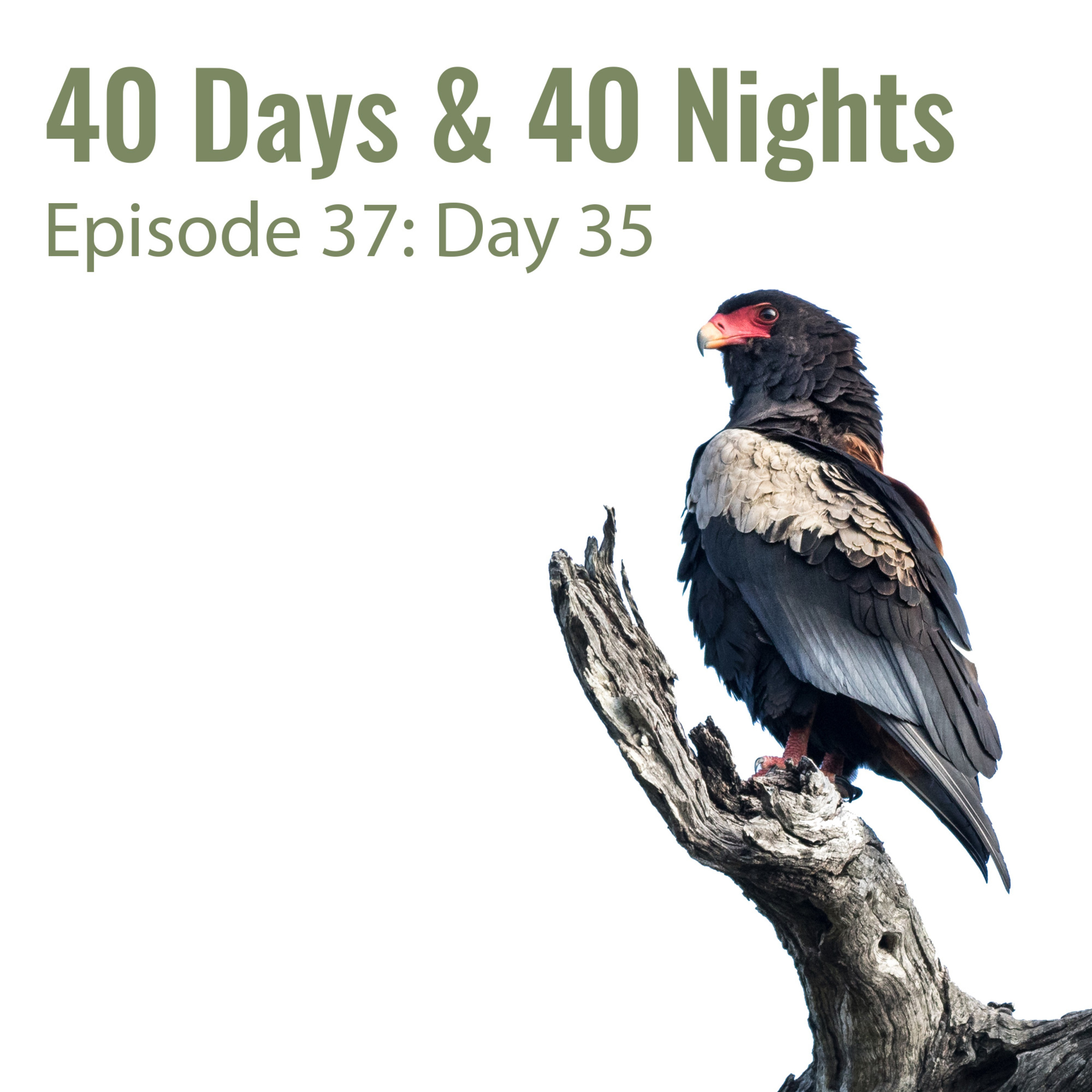 Track Your Life with Boyd Varty