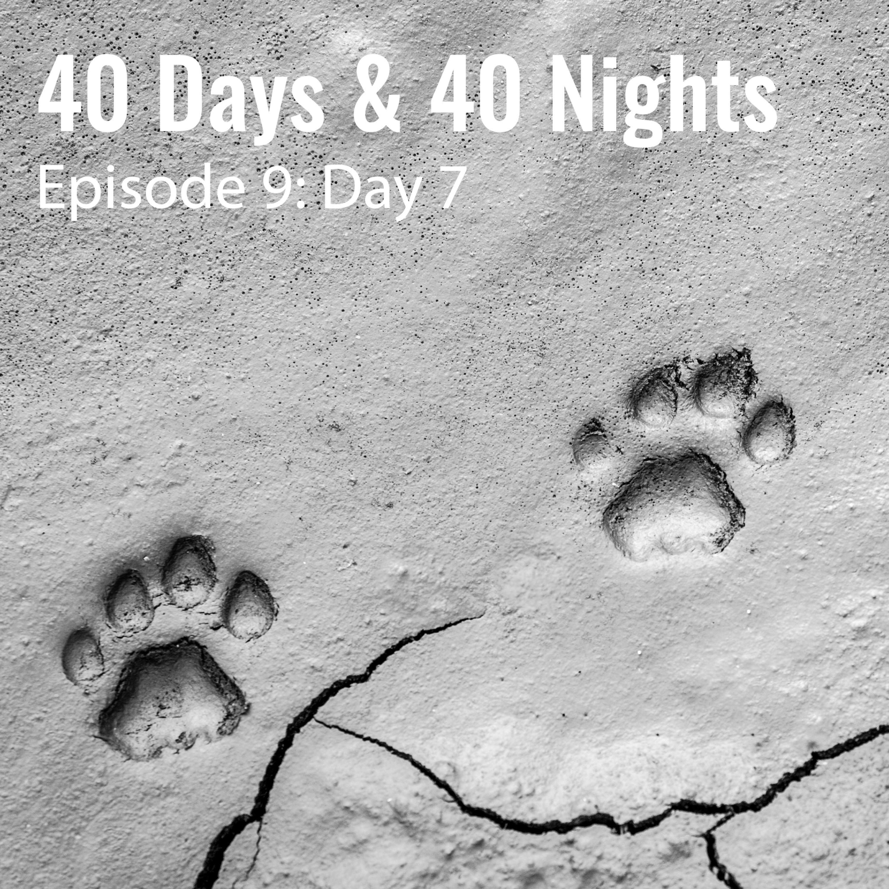 Track Your Life with Boyd Varty