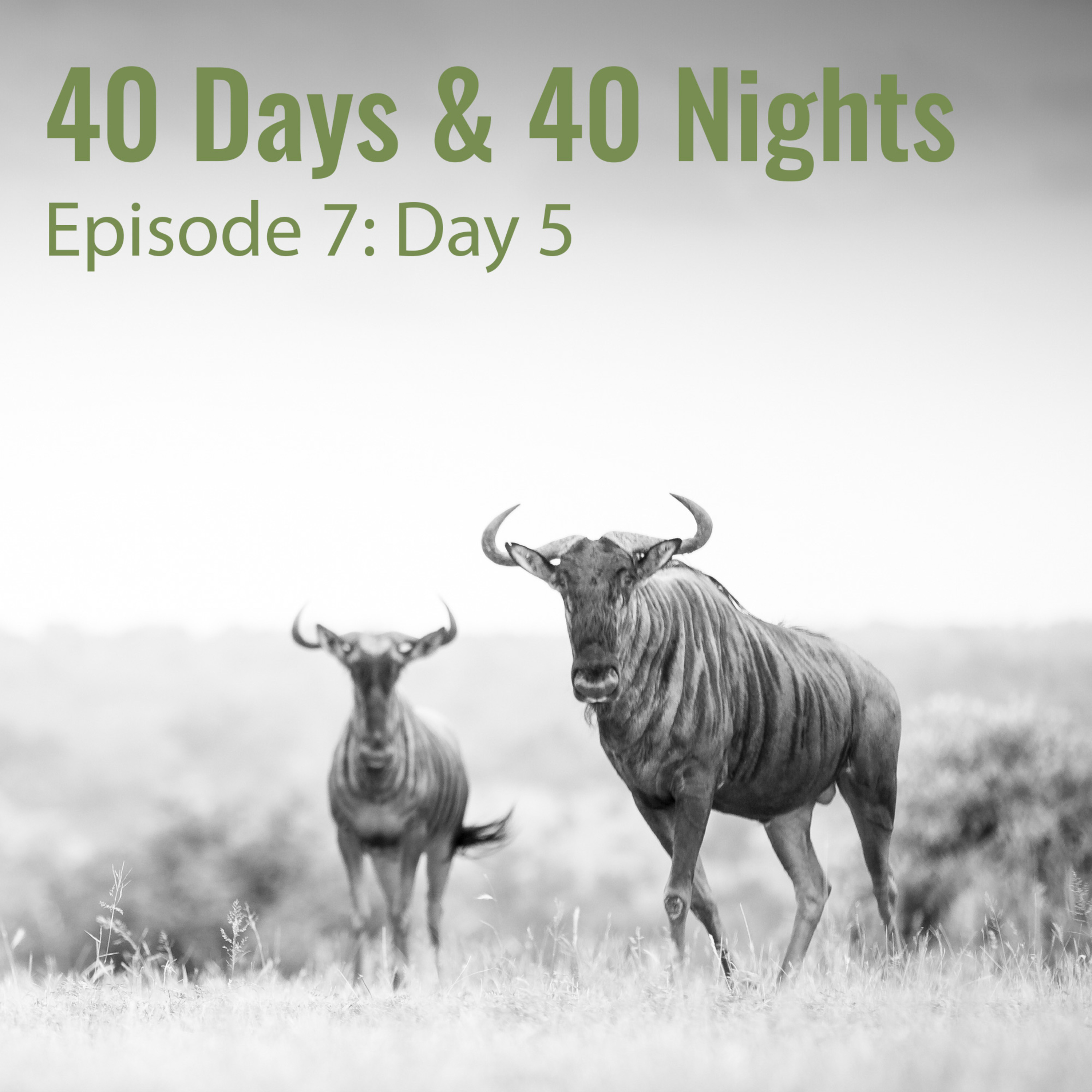 Track Your Life with Boyd Varty