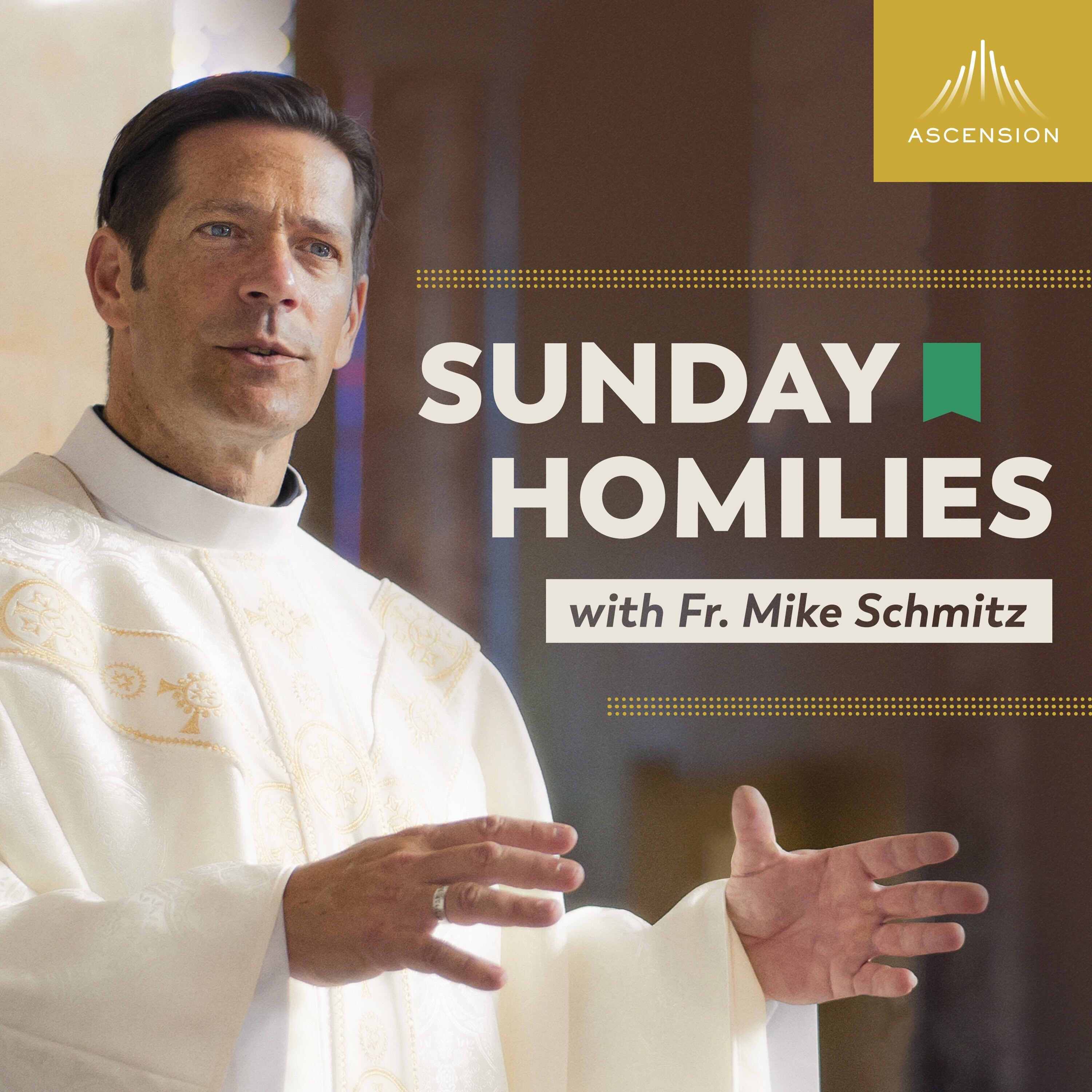 Artwork for Sunday Homilies with Fr. Mike Schmitz