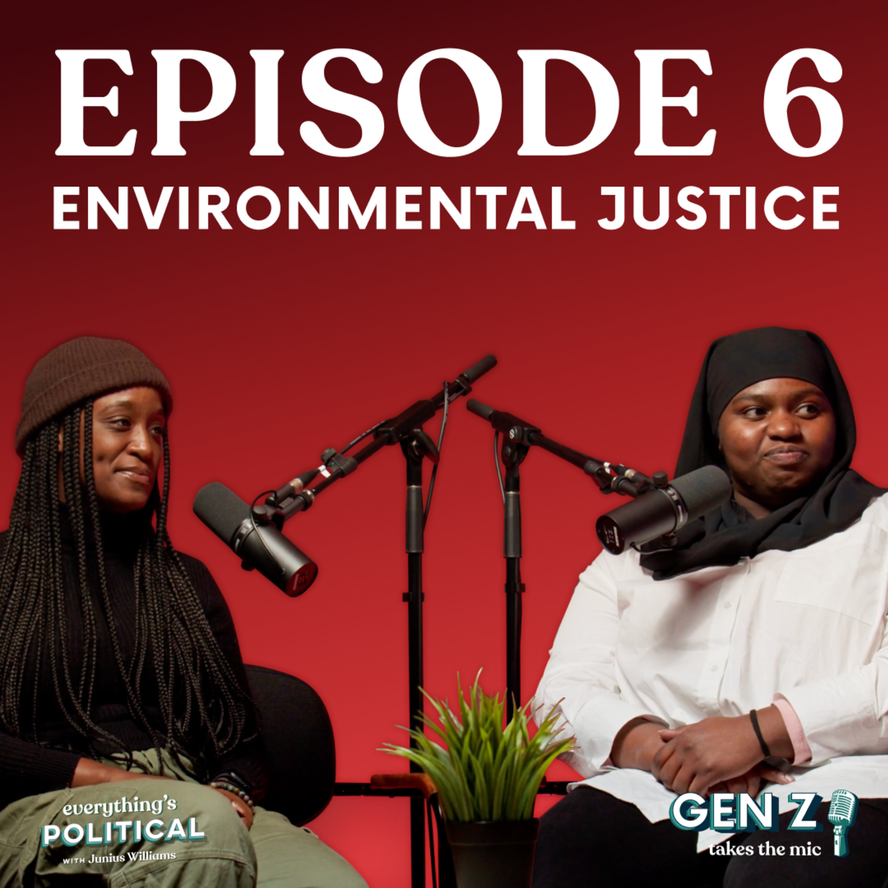 Everything\'s Political