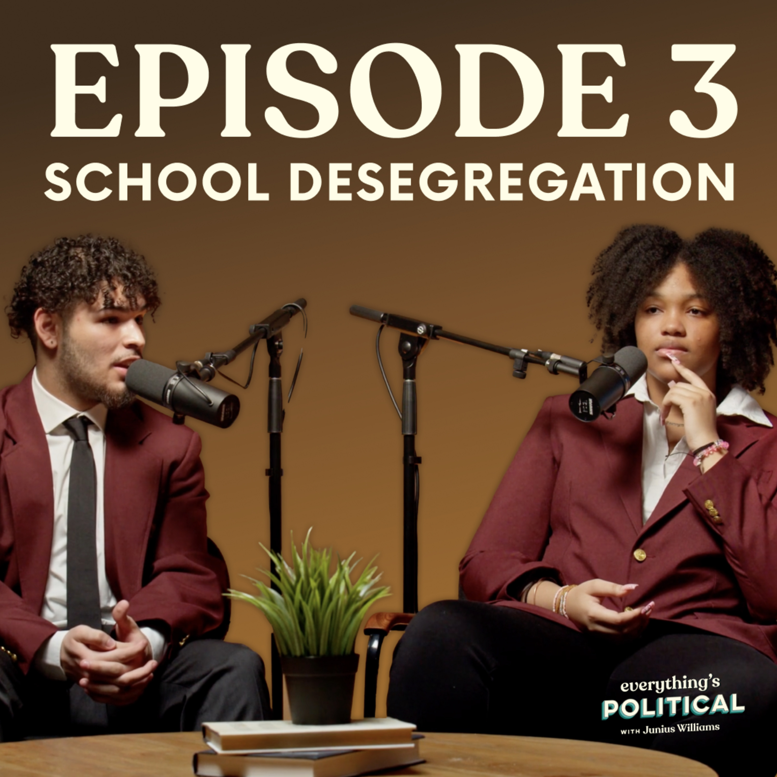 Everything\'s Political