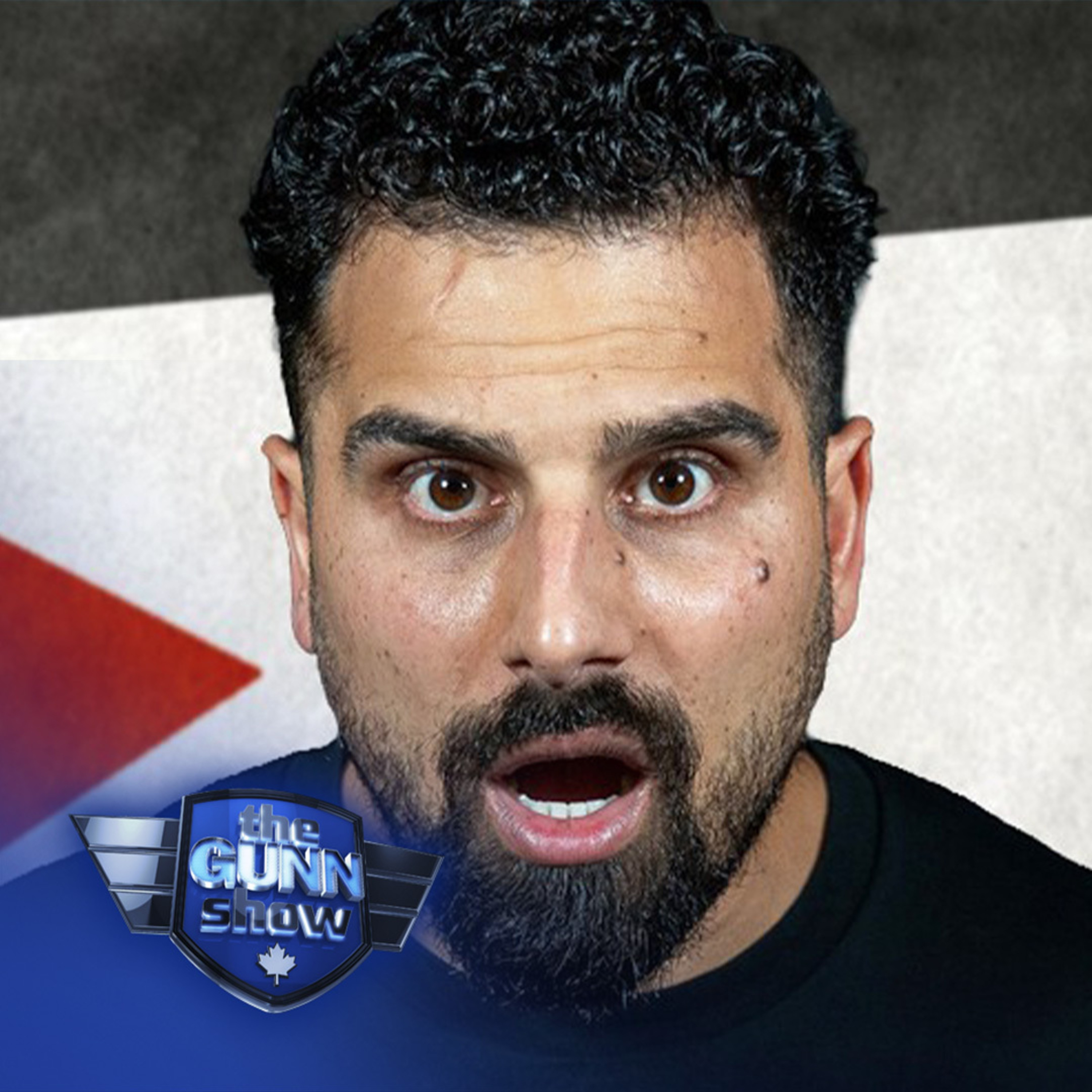 SHEILA GUNN REID | Leftists furious as Avi Yemini uses their own electoral tricks against them — Rebel News Podcast cover