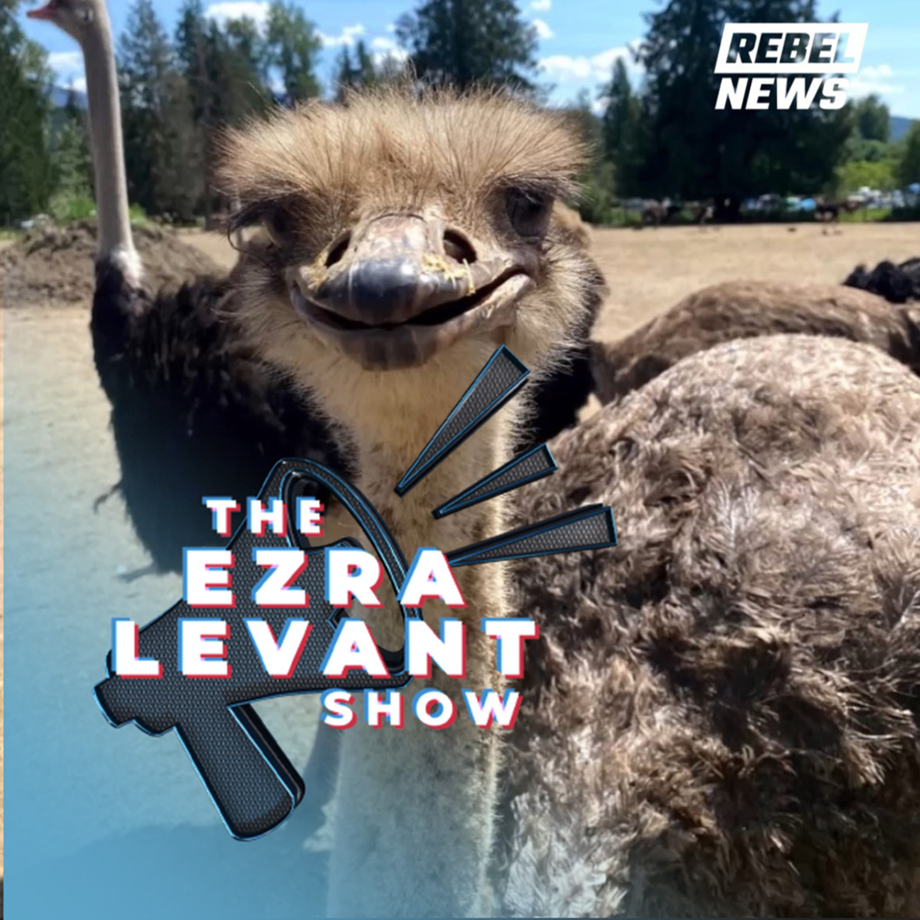 EZRA LEVANT | Mainstream media buries the truth of B.C. ostrich story