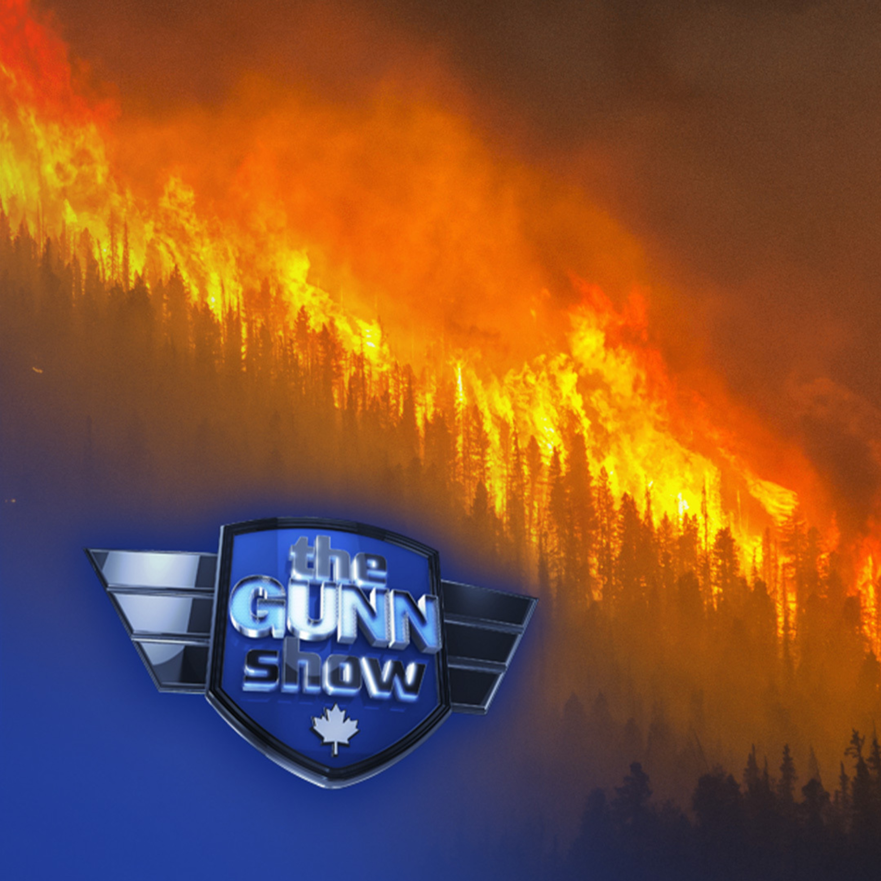 SHEILA GUNN REID | Ottawa attempts to burn Alberta gov't over mismanaged Jasper fire