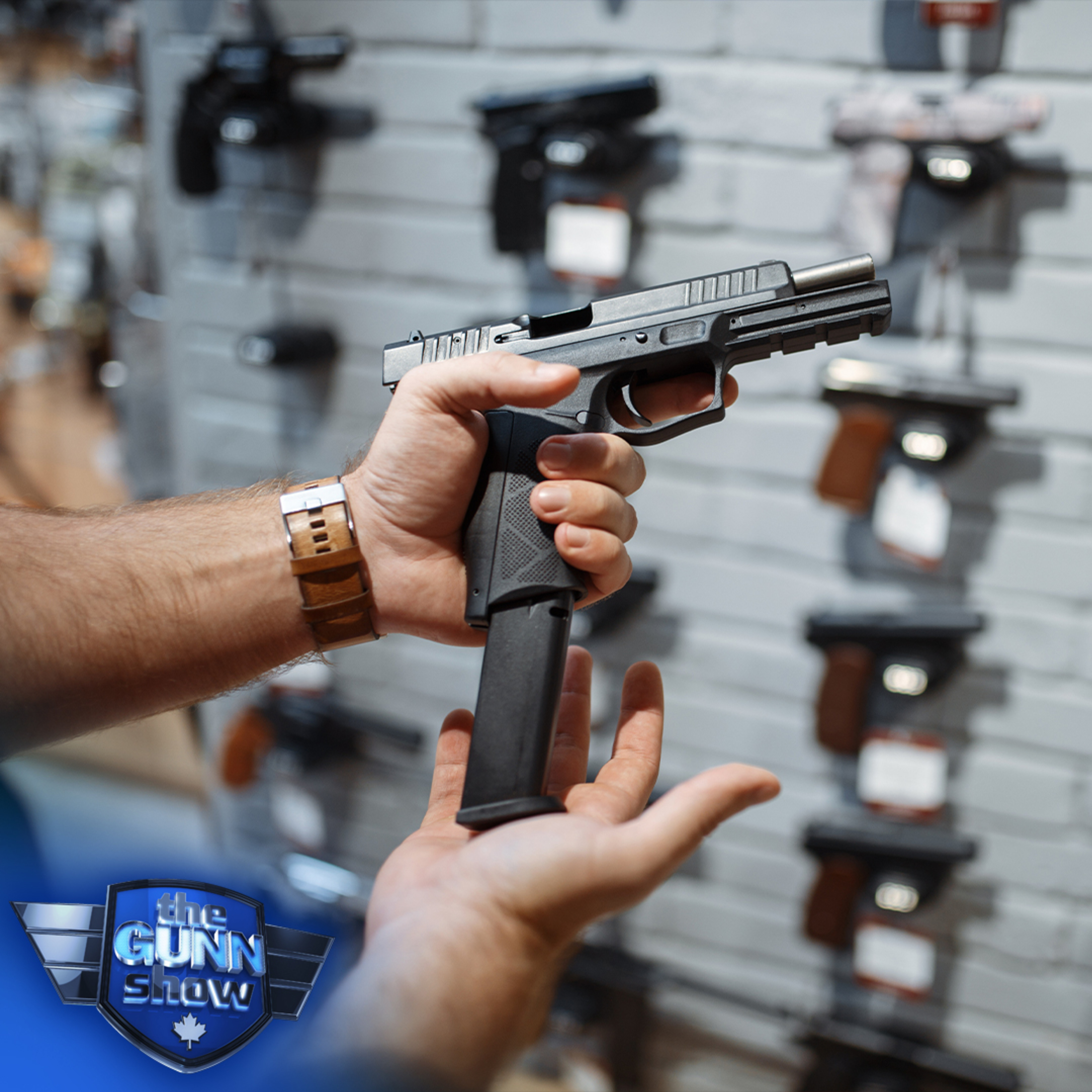 SHEILA GUNN REID | Tracey Wilson: Saskatchewan moves to shield gun owners from Ottawa’s gun grab