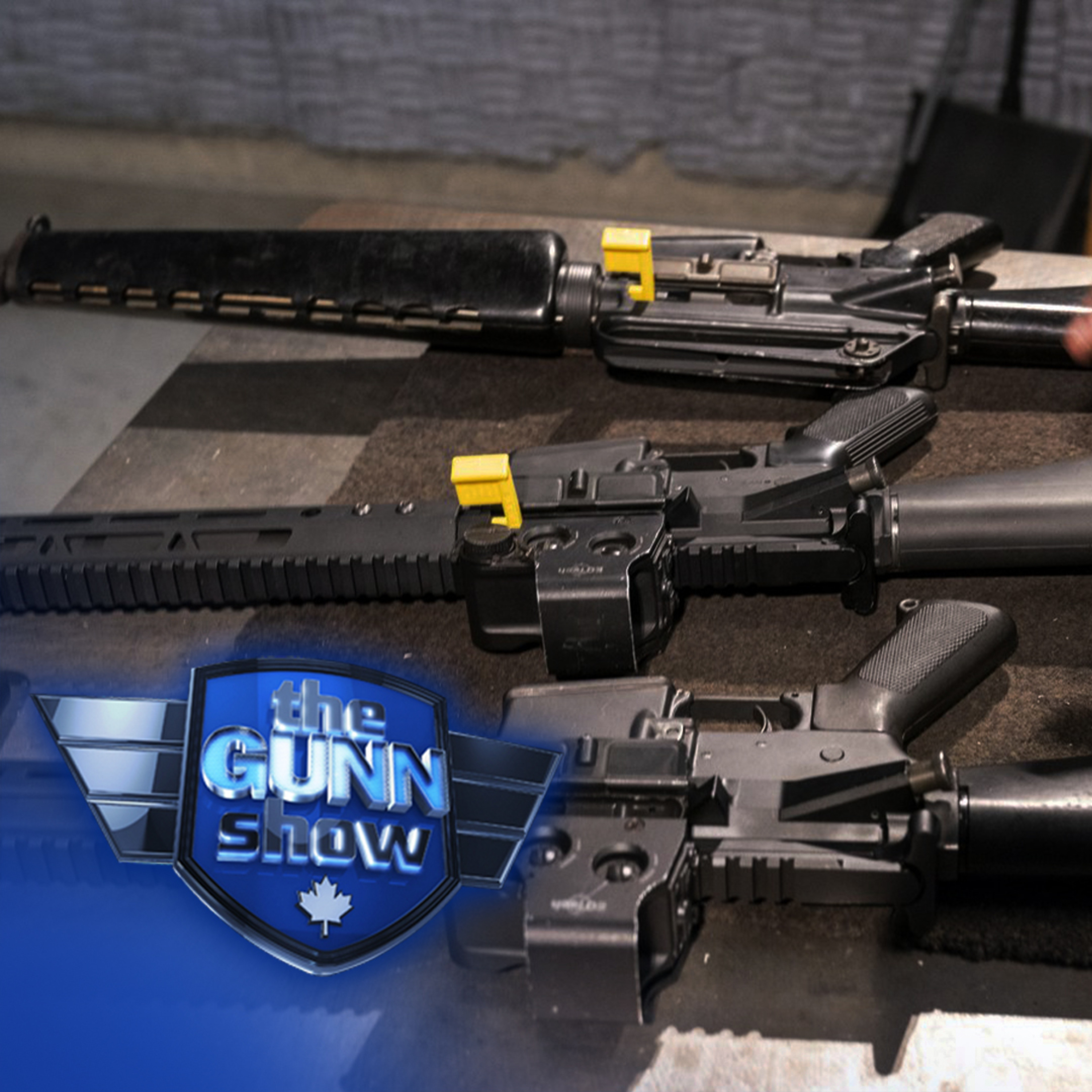 SHEILA GUNN REID | Mark Carney’s gun grab agenda: The unelected PM takes aim at legal gun owners