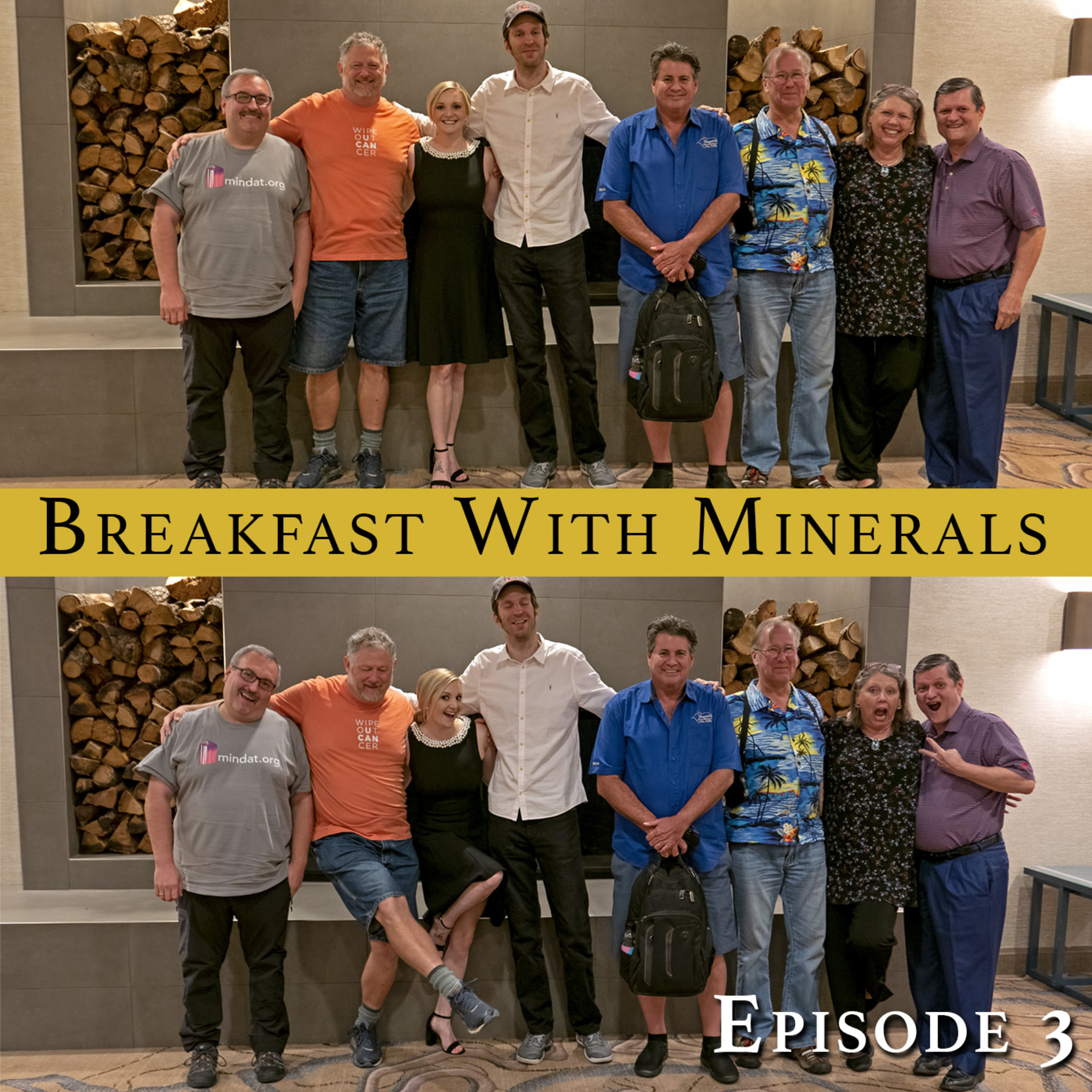 Episode 03: Professional Diggers