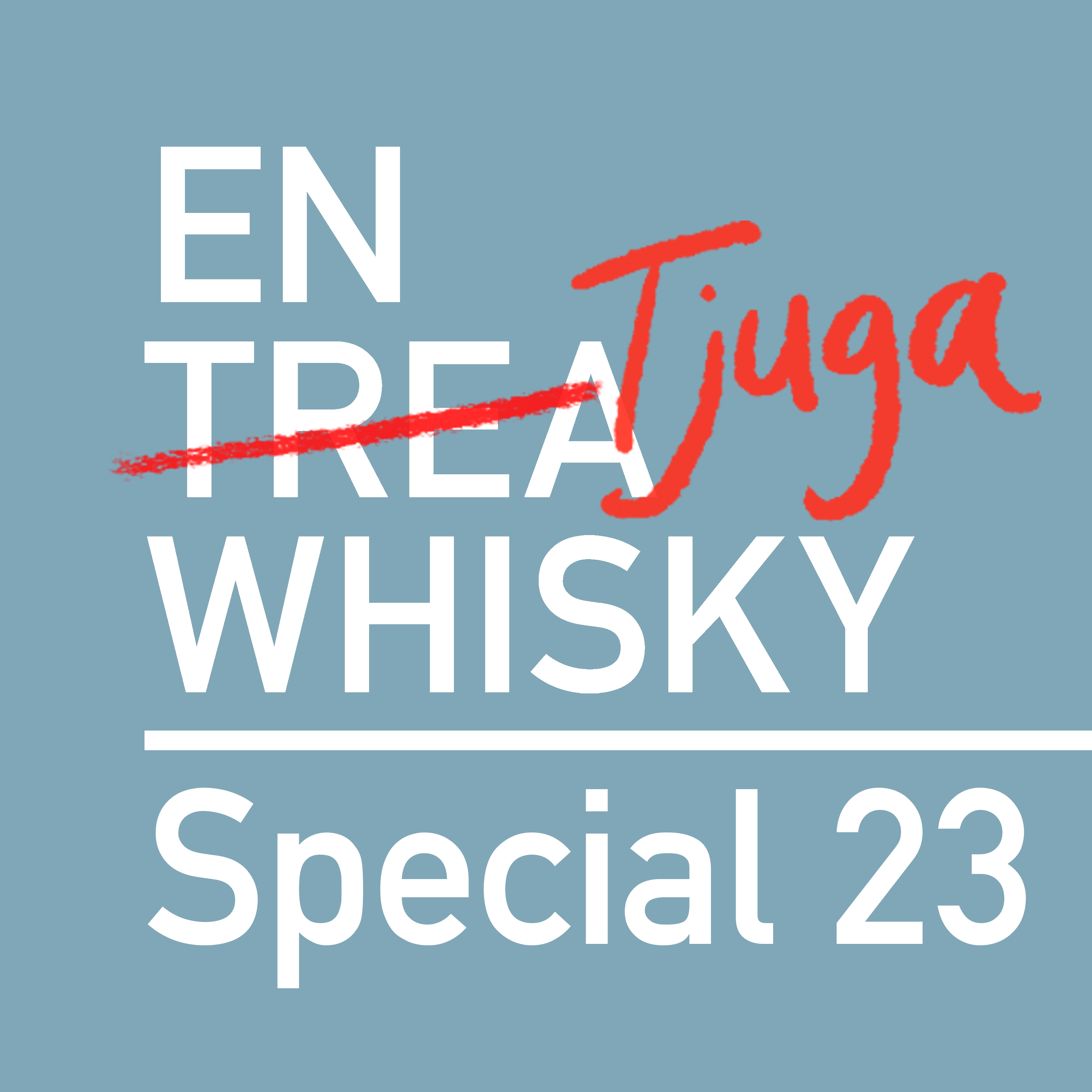 En tjuga sommarspecial 2023 episode artwork