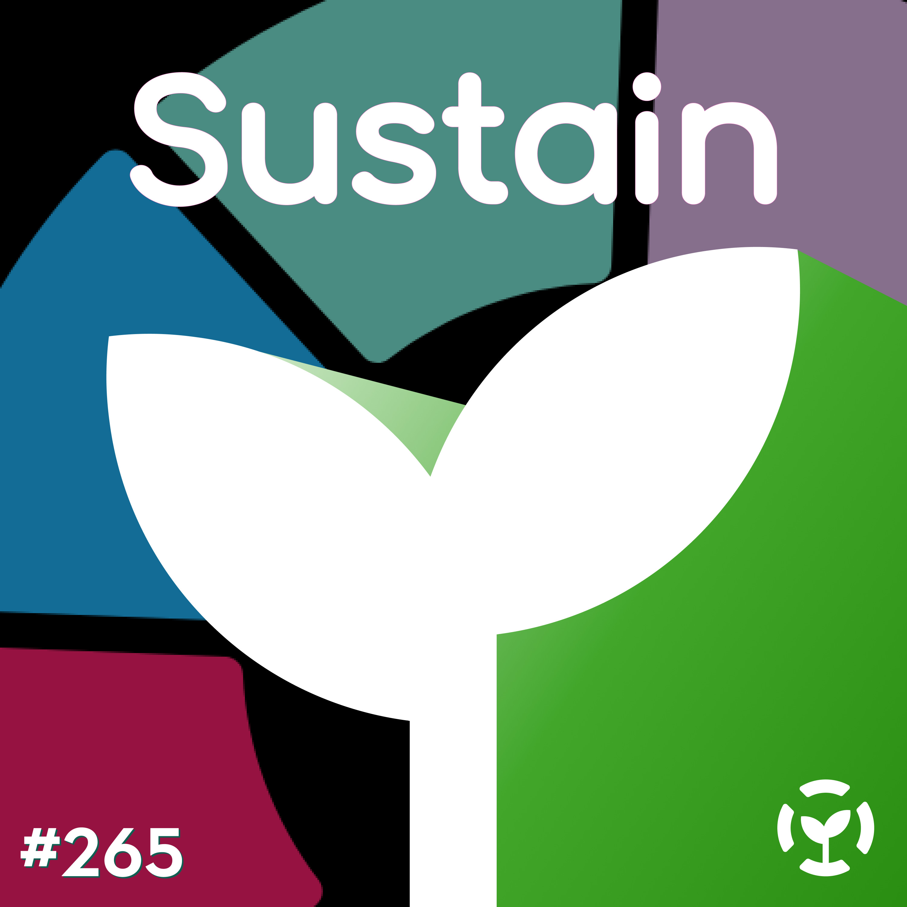 Episode 265: Sean Goggins on Sustainability through CHAOSS episode artwork